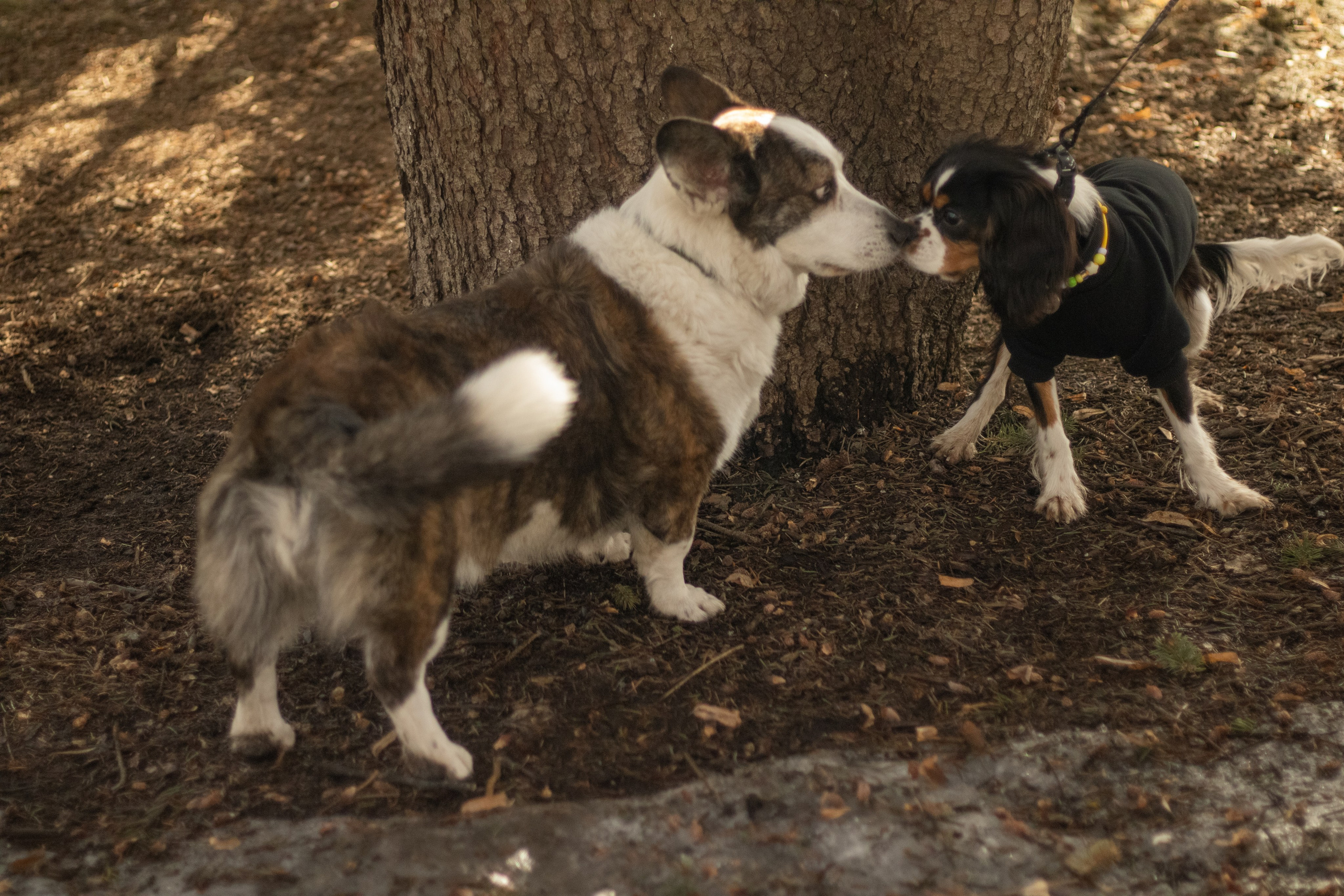 Юлия и Тэя. Катя Попова|ЛайфСтайл фотограф