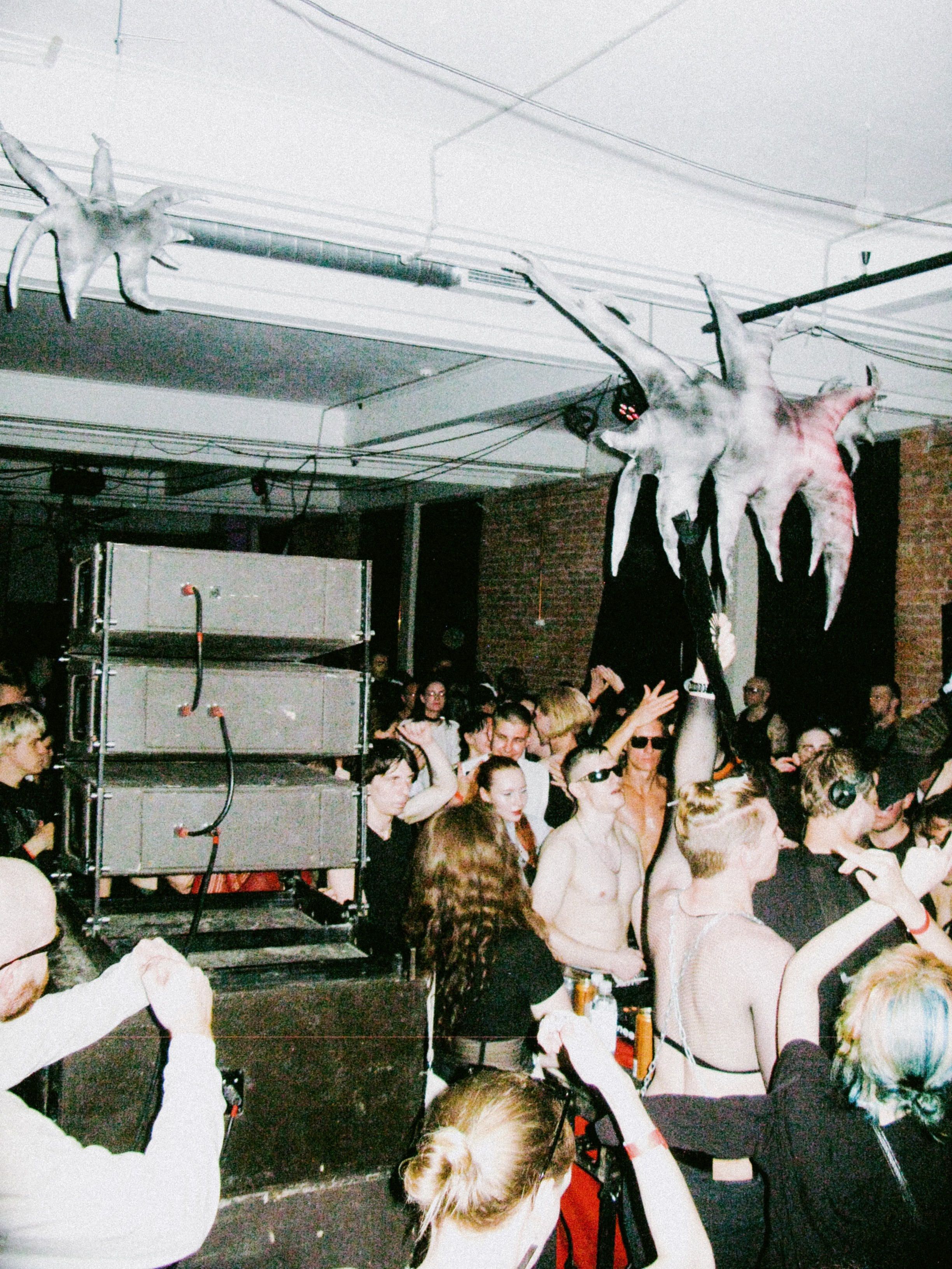 Kontrkult: last summer days. Shyjungle's Portfolio