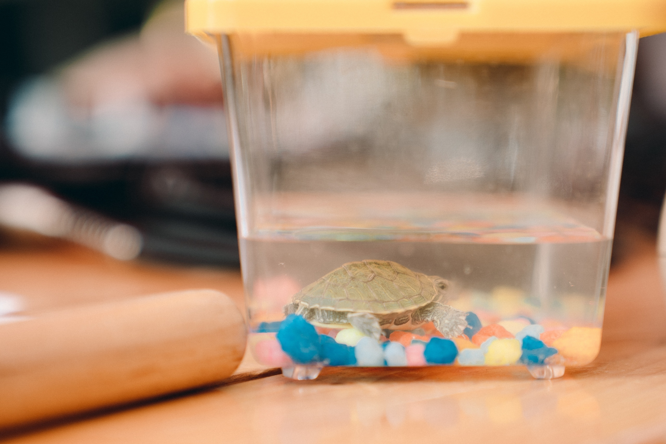 Очевидность| 18 августа. Репортажный фотограф Света Асадчая