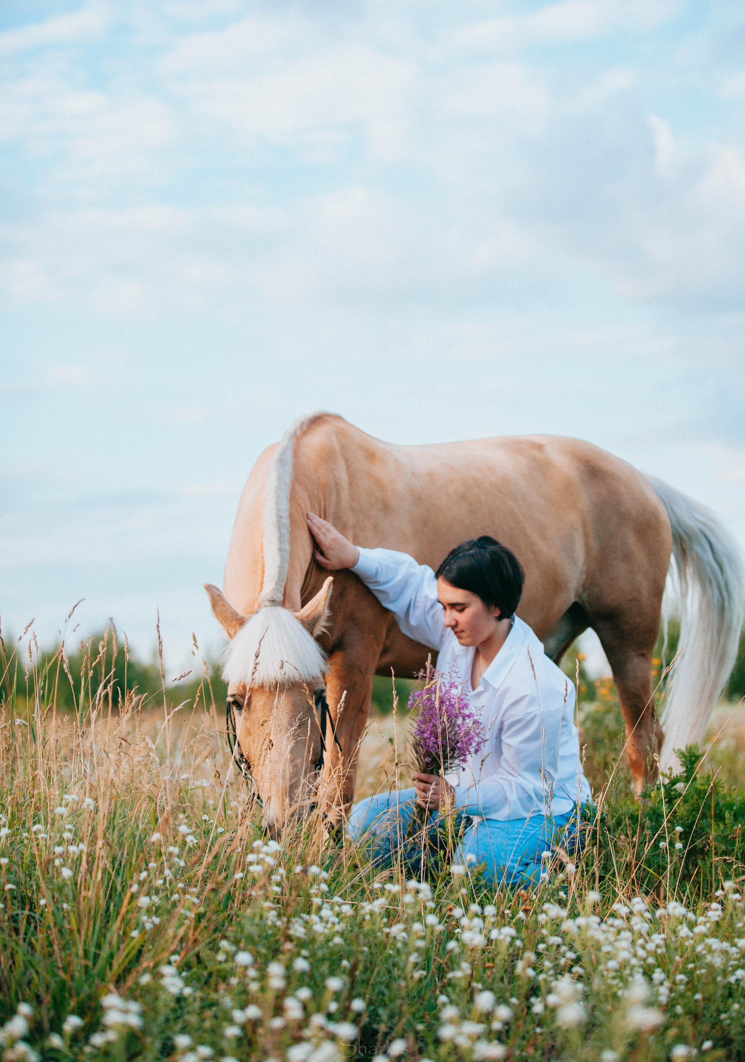Алина и Гешефт. Главная