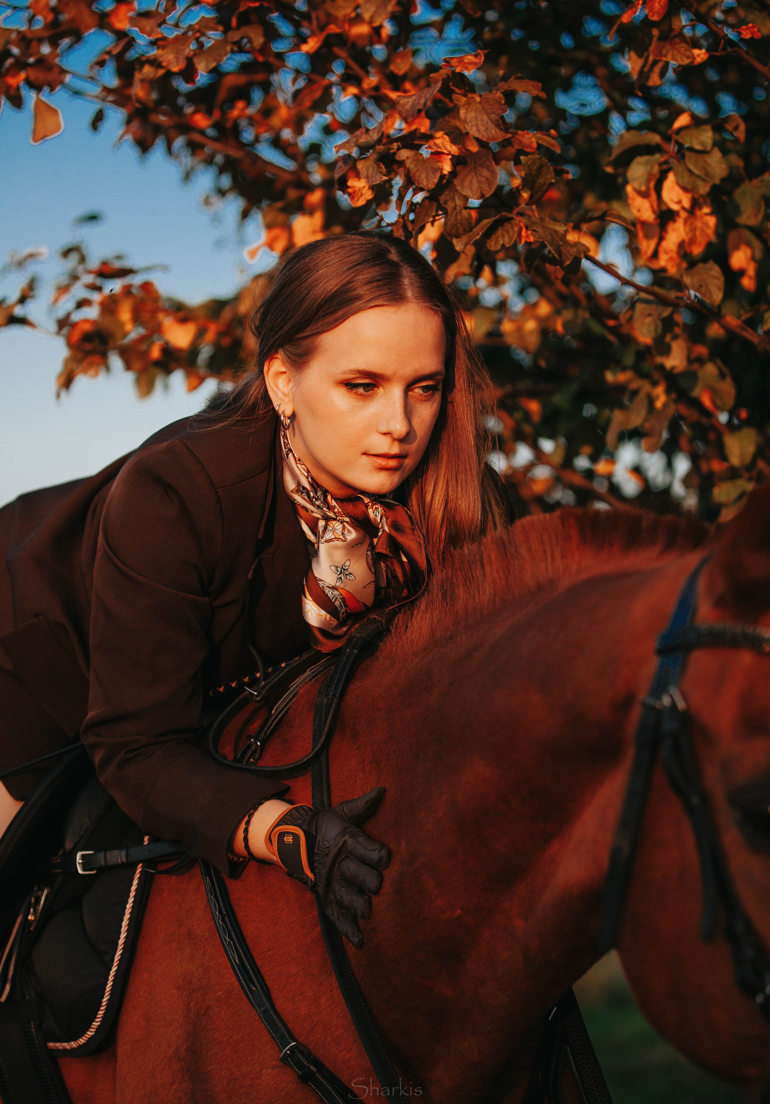 Аня и Гас. Главная