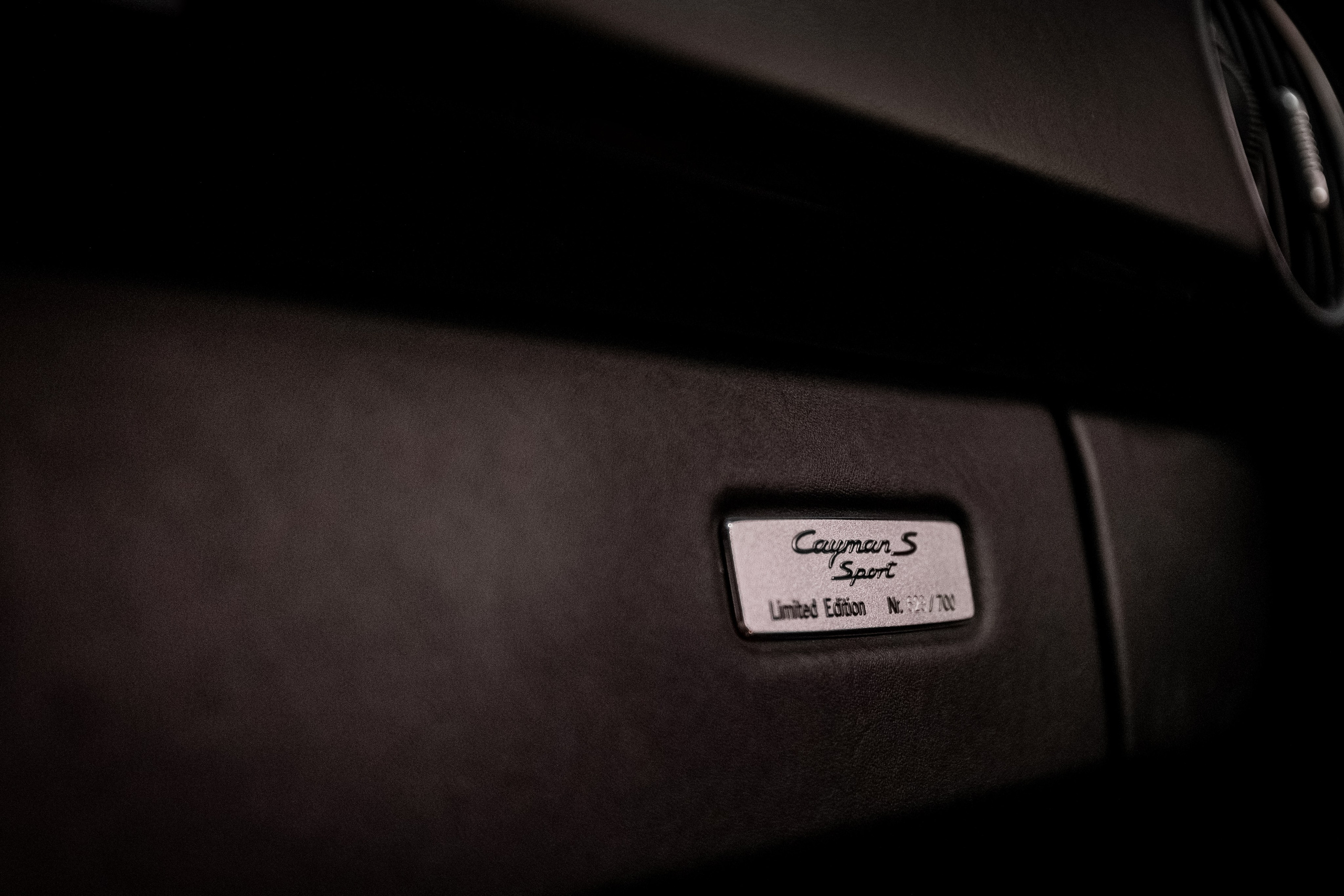 Porsche Cayman S. D. ILIN