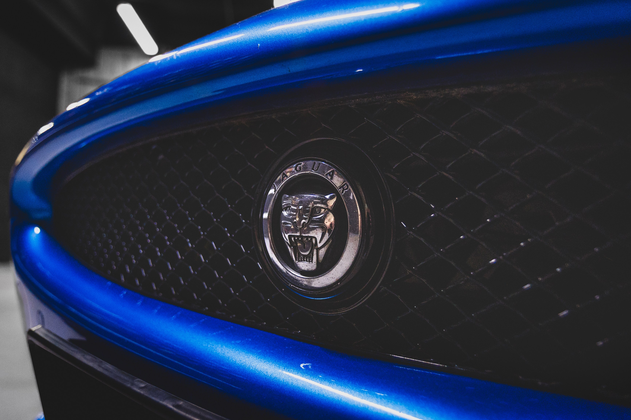 Jaguar XKR. D. ILIN