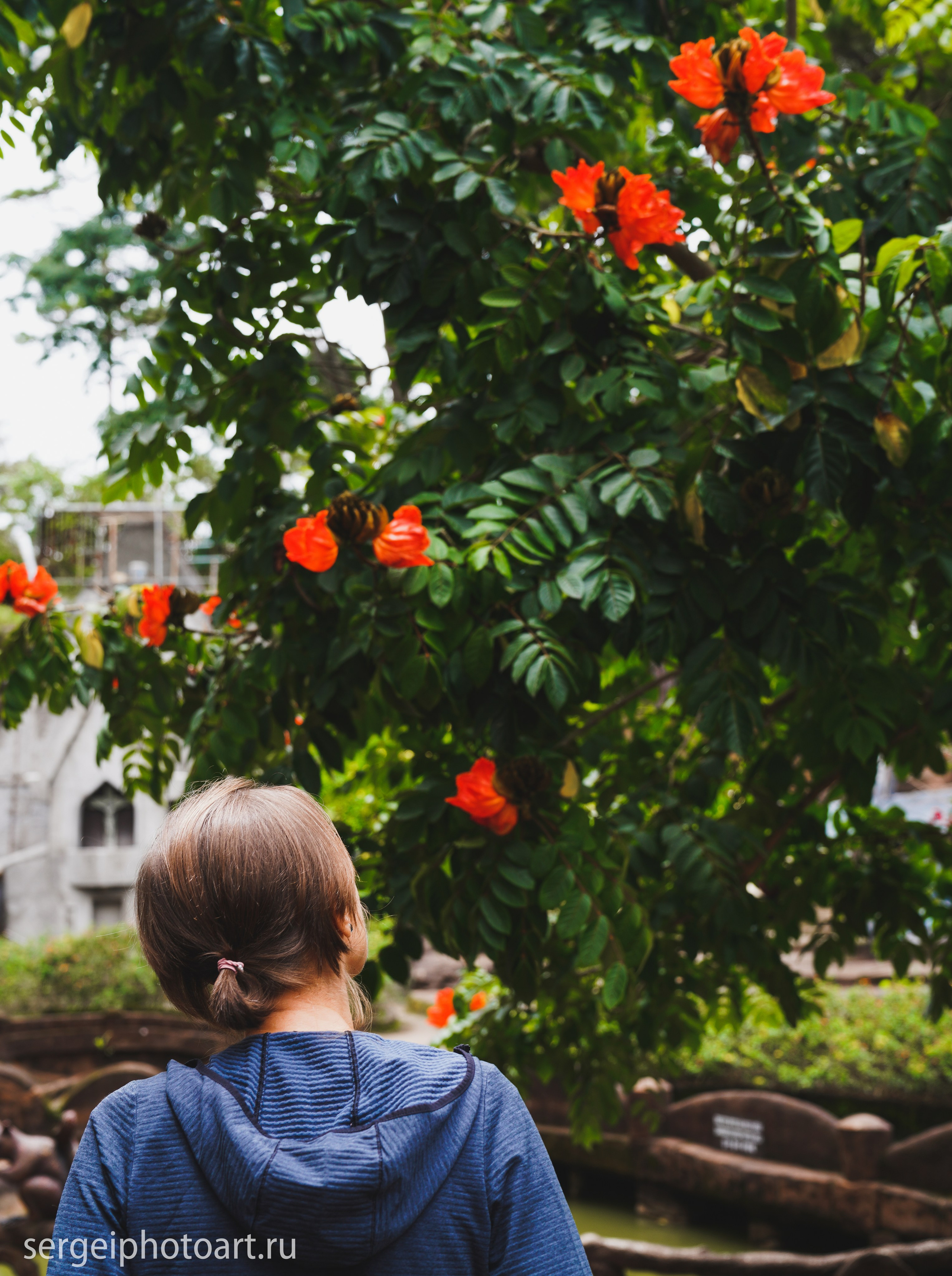 Далат. Фотограф Сергей Кишкель Дананг Нячанг Фукуок