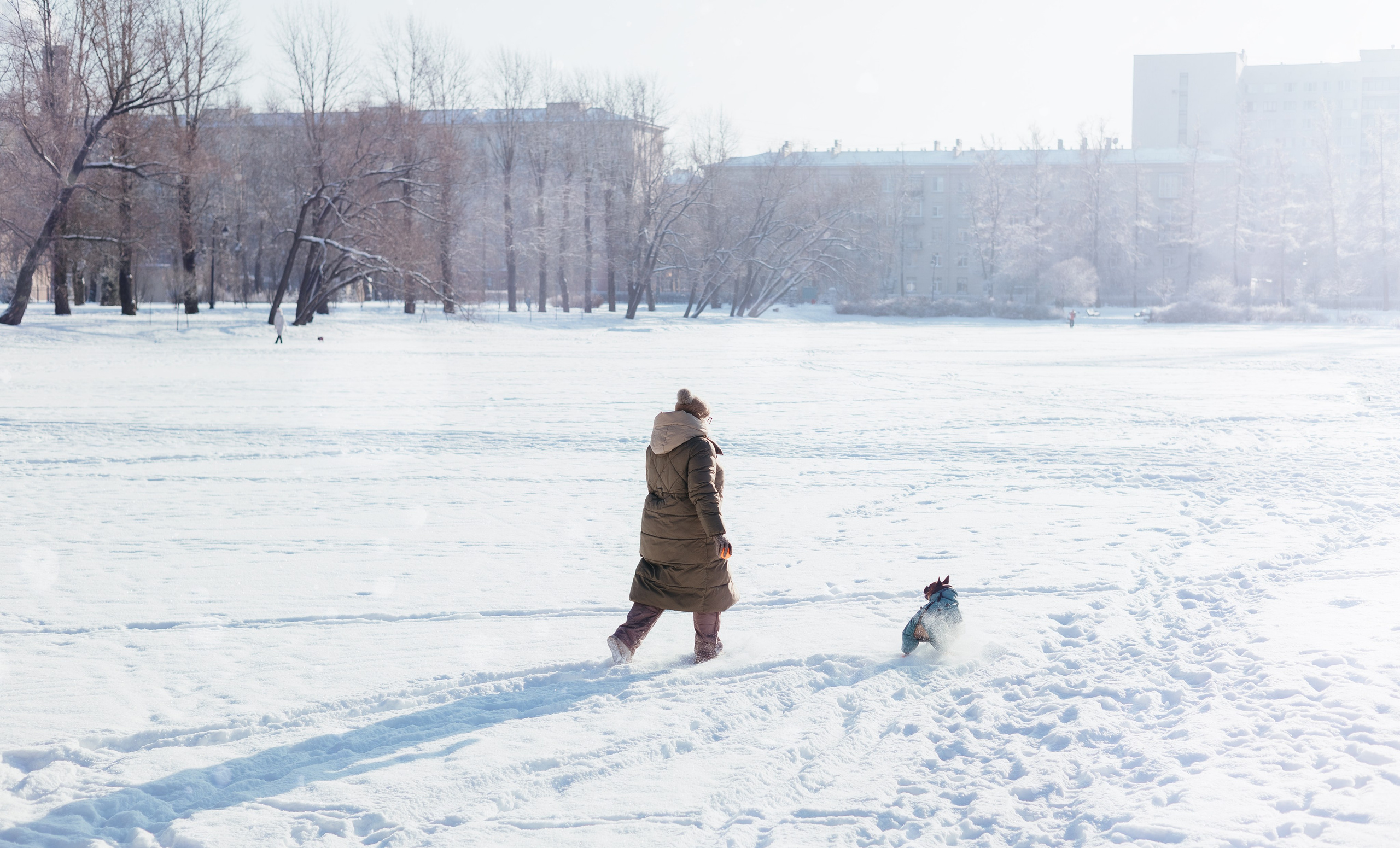Дарья и Боня. Фотограф животных Евгения Верцинская