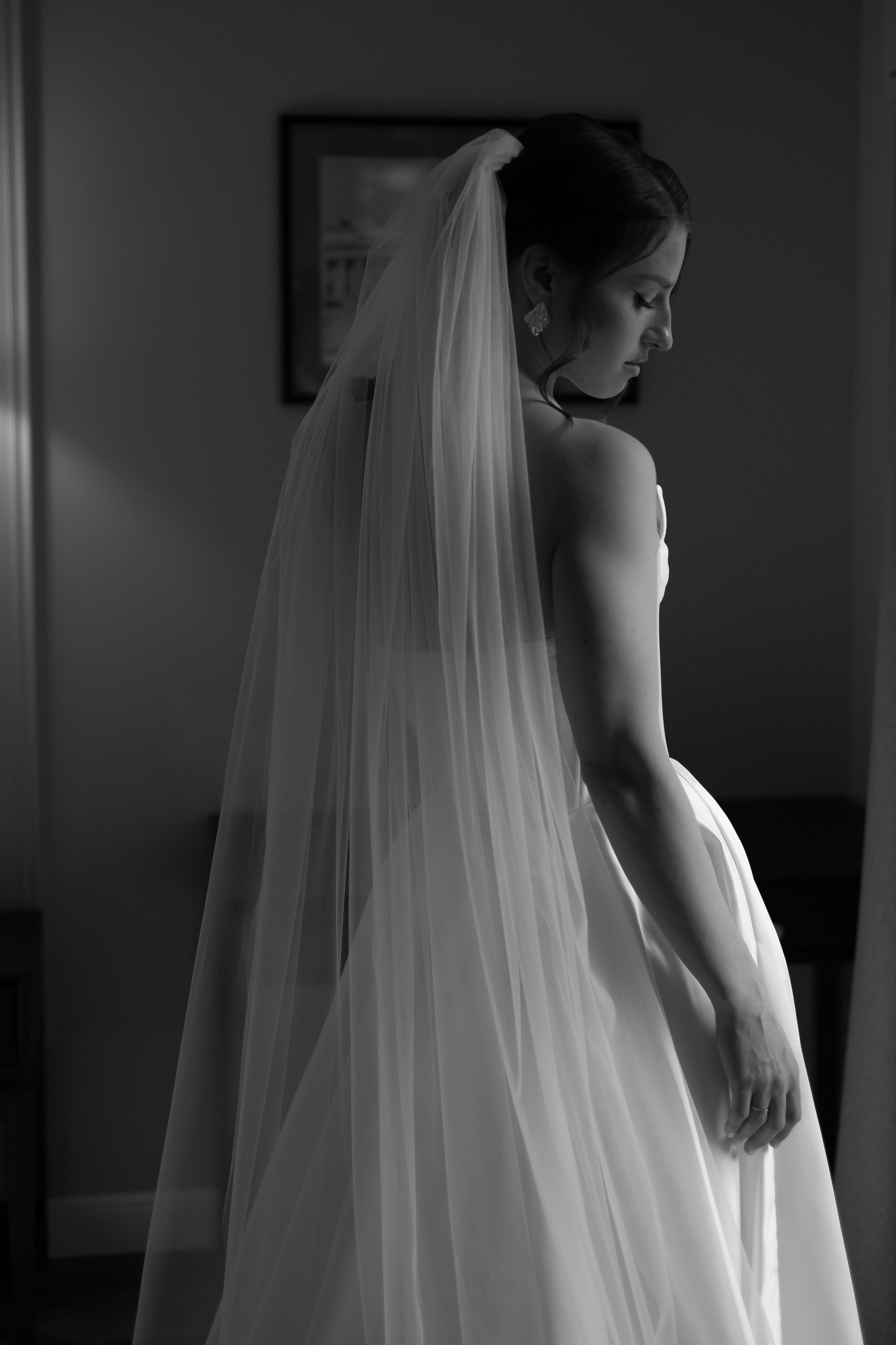 Серая кошка и рыжий кот. Свадебный и семейный фотограф Арина Кулёва