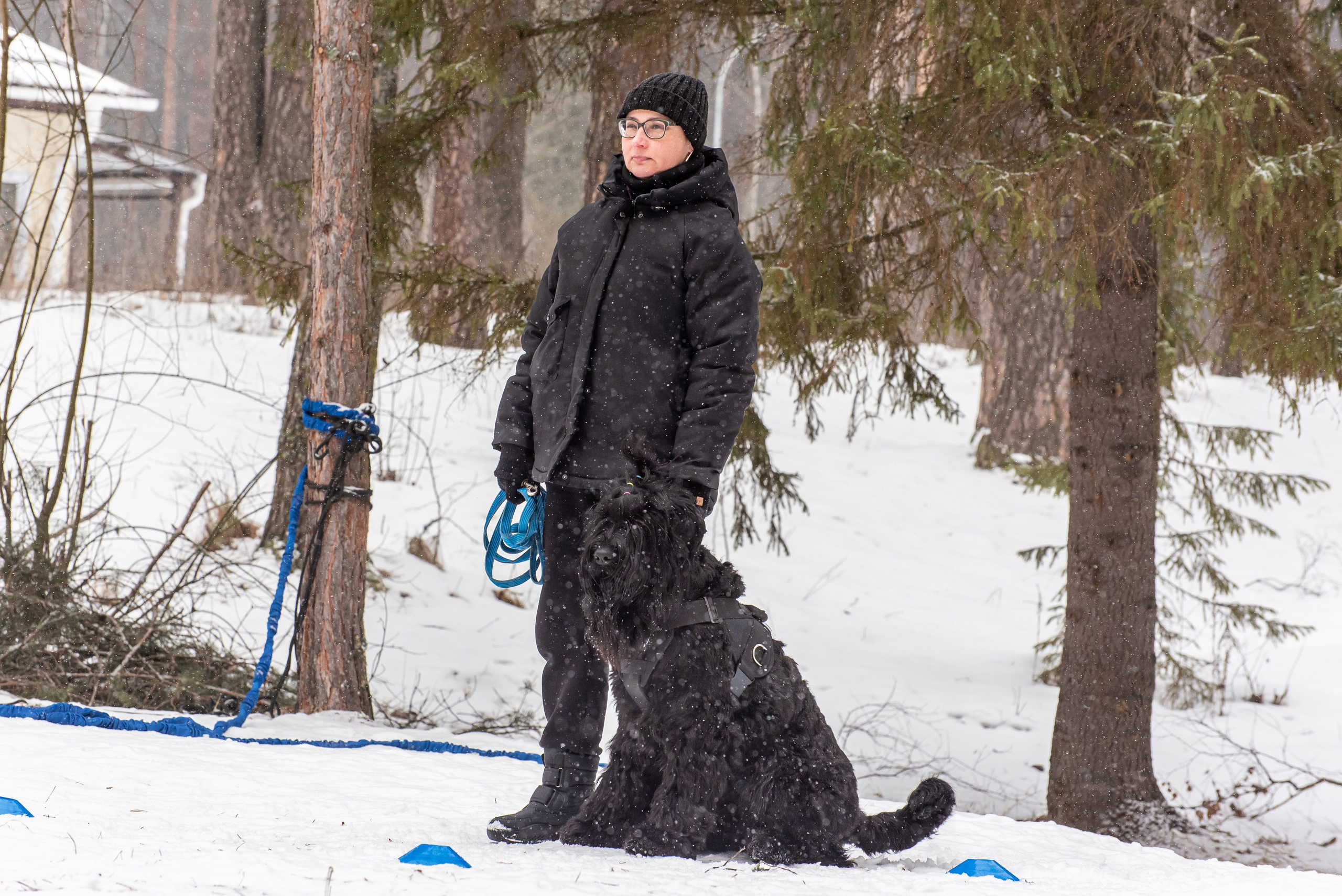 Фотосъёмка с собаками в Кинологическом лагере. Фотограф Макс Огурцов в Нижнем Новгороде