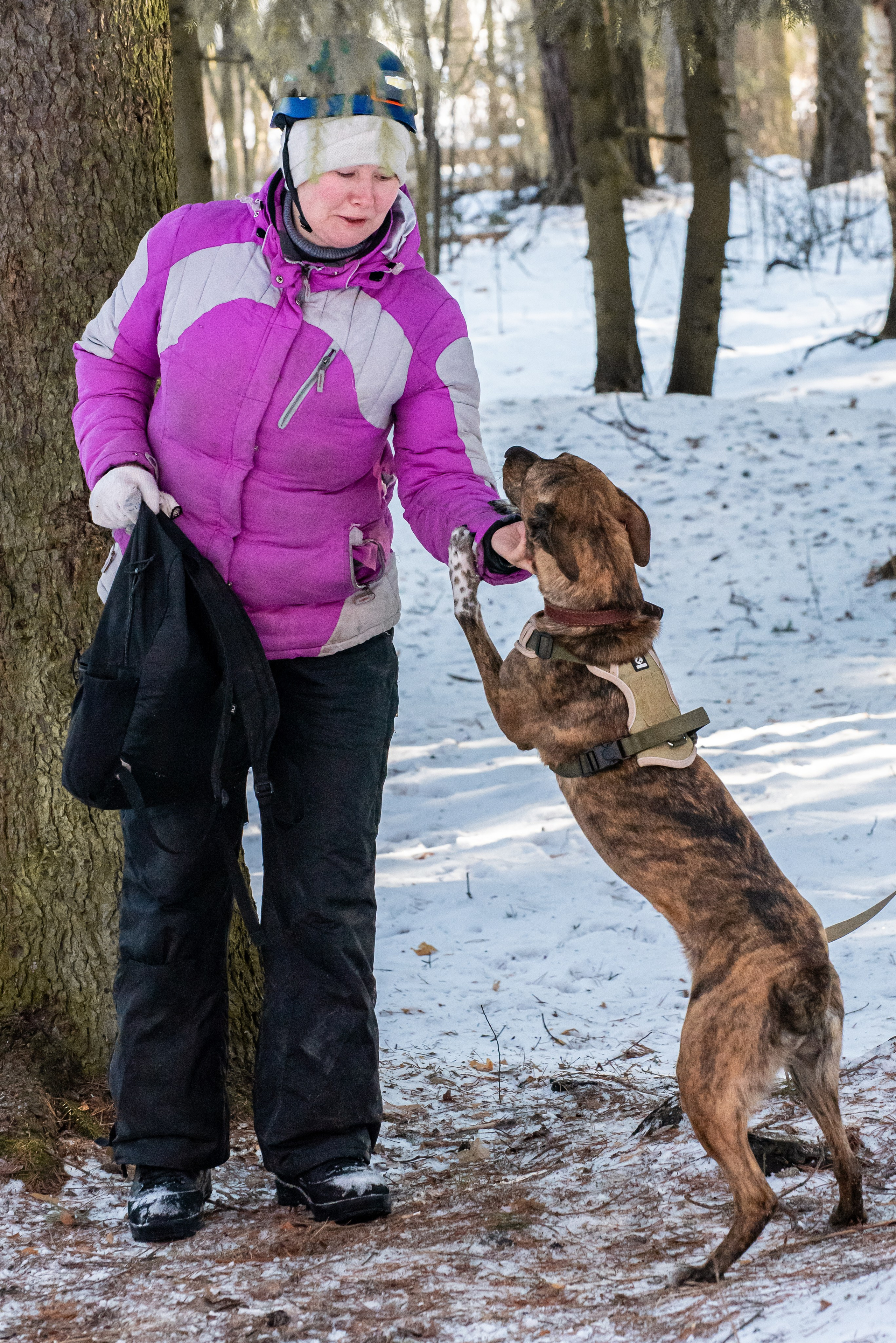 Фотосъёмка с собаками в Кинологическом лагере. Фотограф Макс Огурцов в Нижнем Новгороде