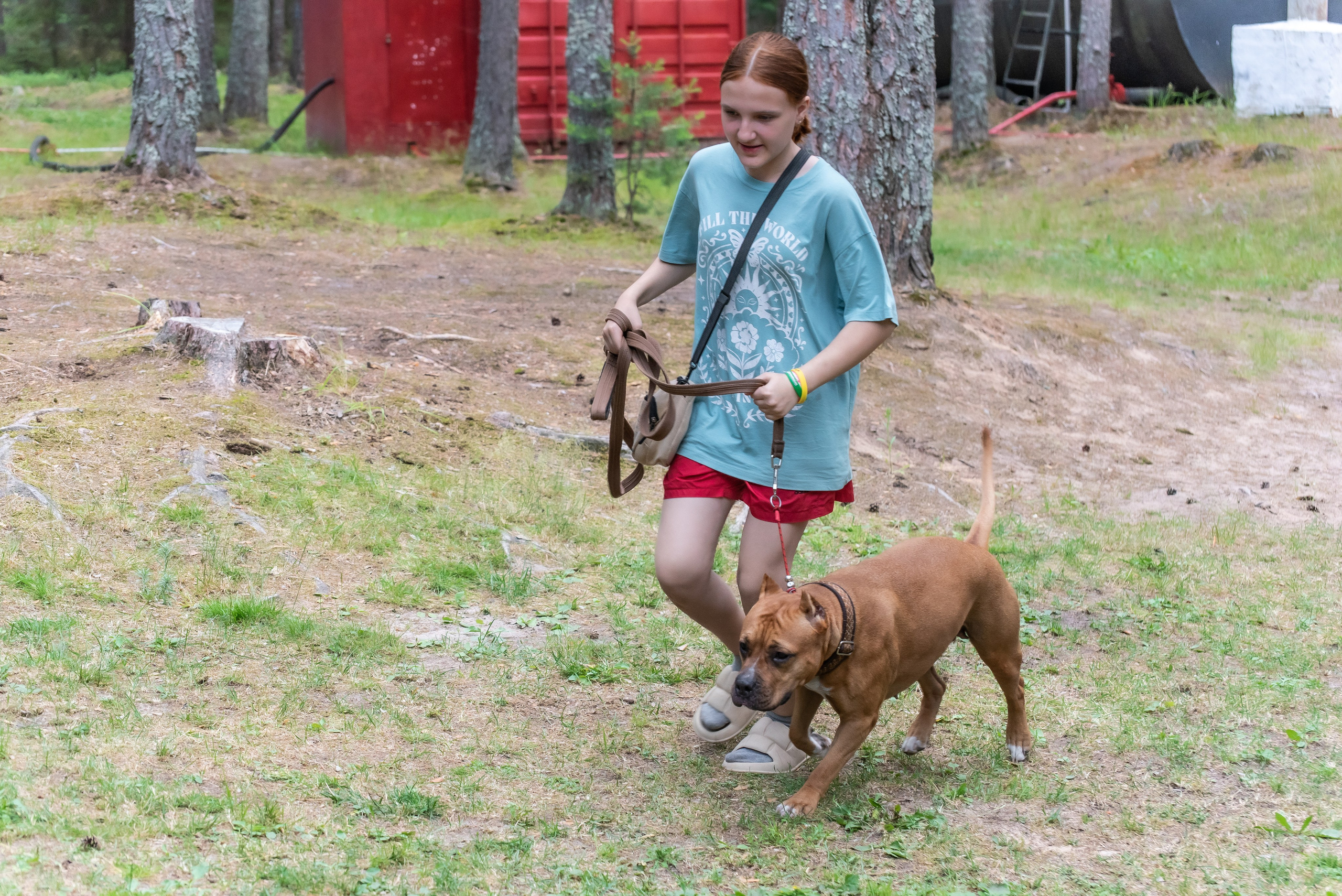 Хвостатые каникулы Детский кинологический лагерь. Фотограф Макс Огурцов в Нижнем Новгороде