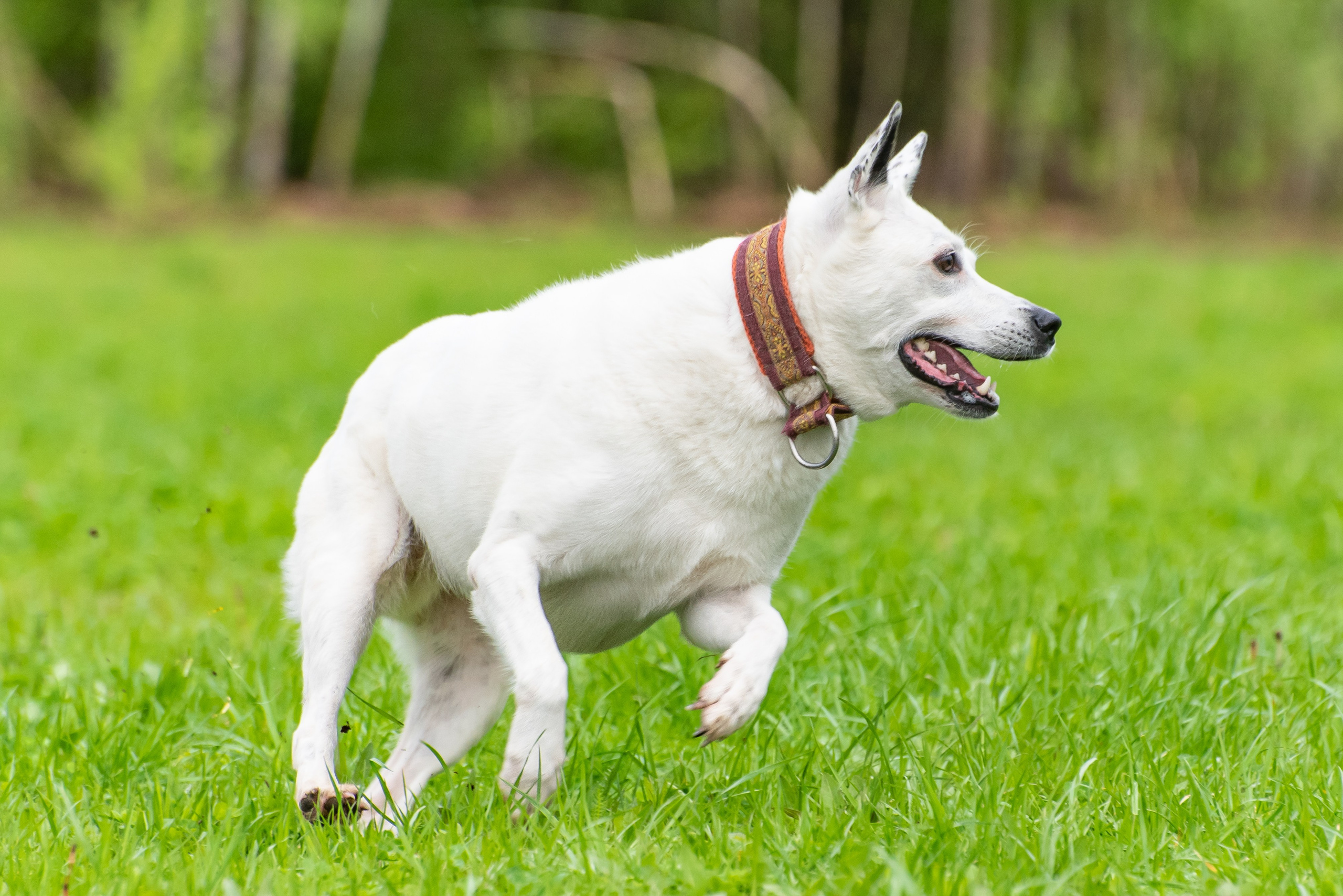Фотографии с Курсинга. Фотограф Макс Огурцов в Нижнем Новгороде
