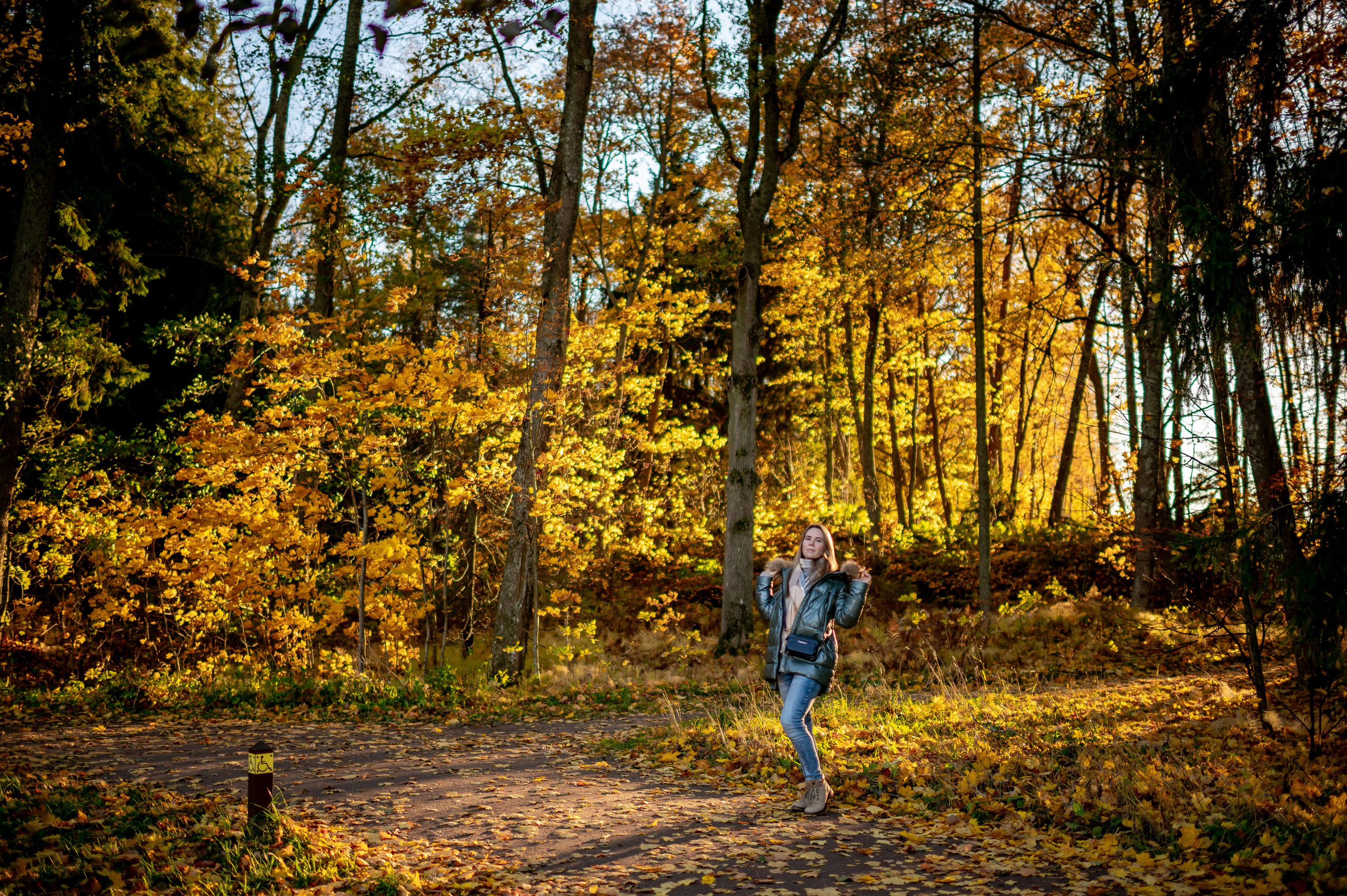 Прогулка по Монрепо. Портретный, семейный и свадебный фотограф в Санкт-Петербурге и в Москве Ширяев Денис