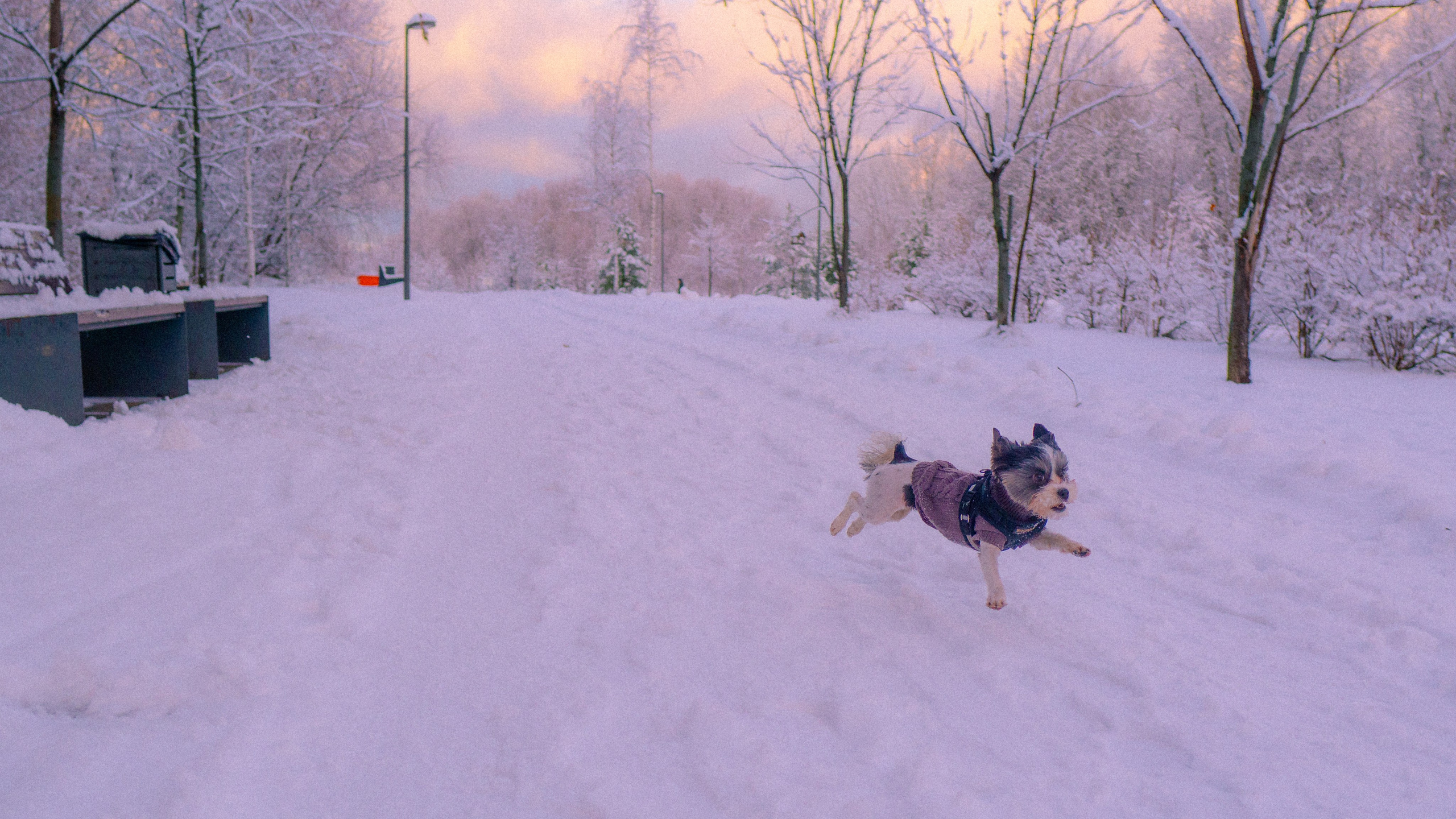 Зимняя сказка. Фёдор Малюгин. Ваш бади в визуале