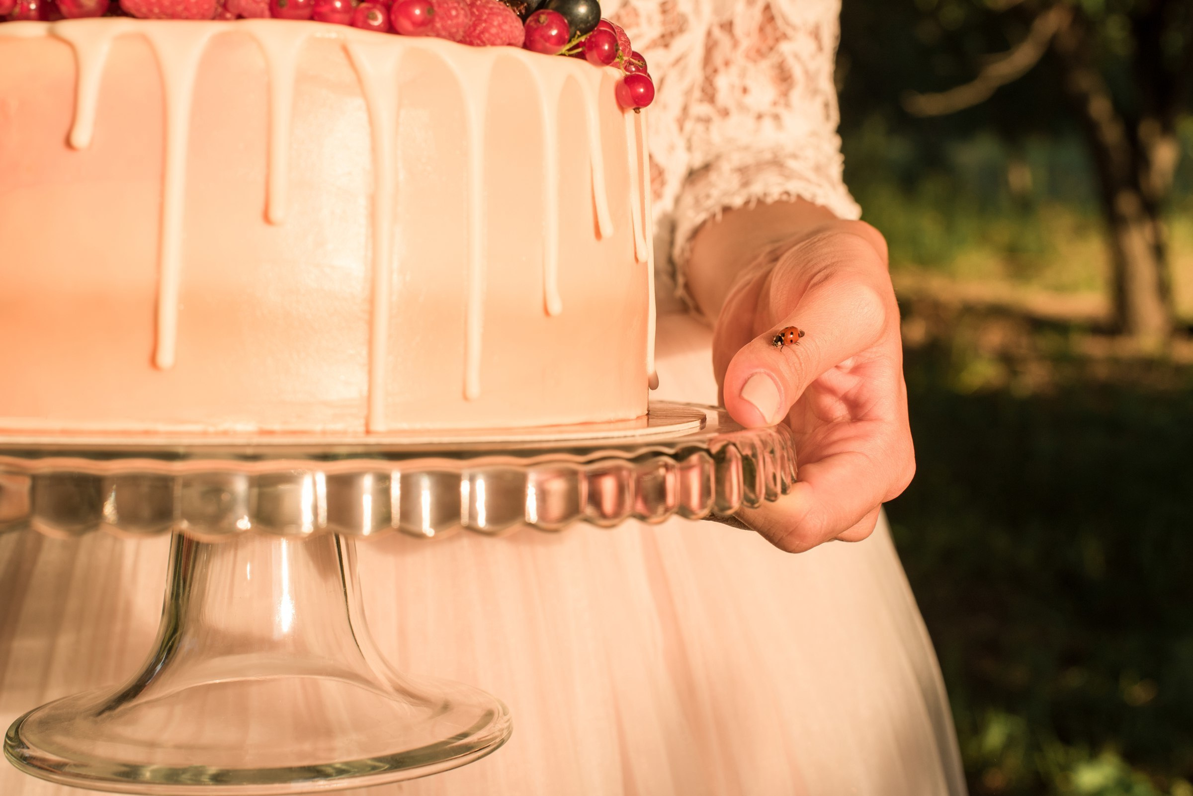 Love story. Свадебный фотограф Волгоград Роман Брызгалин и Натали Никитина