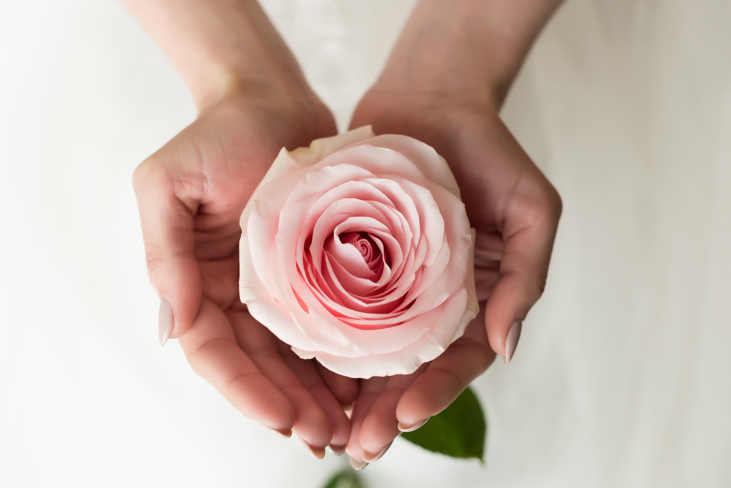 Bride's morning. Свадебный фотограф Волгоград Роман Брызгалин и Натали Никитина