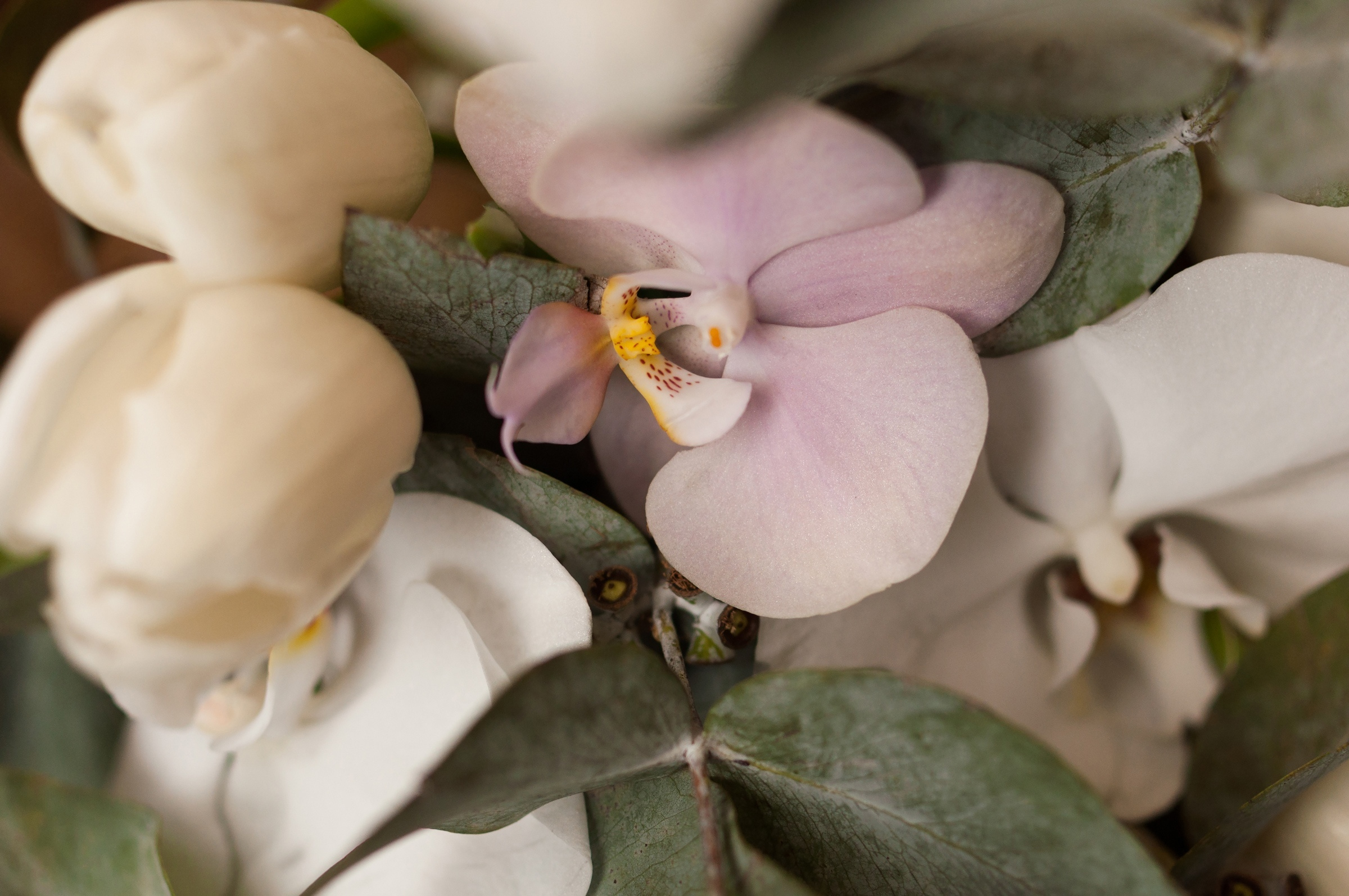 Bride's morning. Свадебный фотограф Волгоград Роман Брызгалин и Натали Никитина