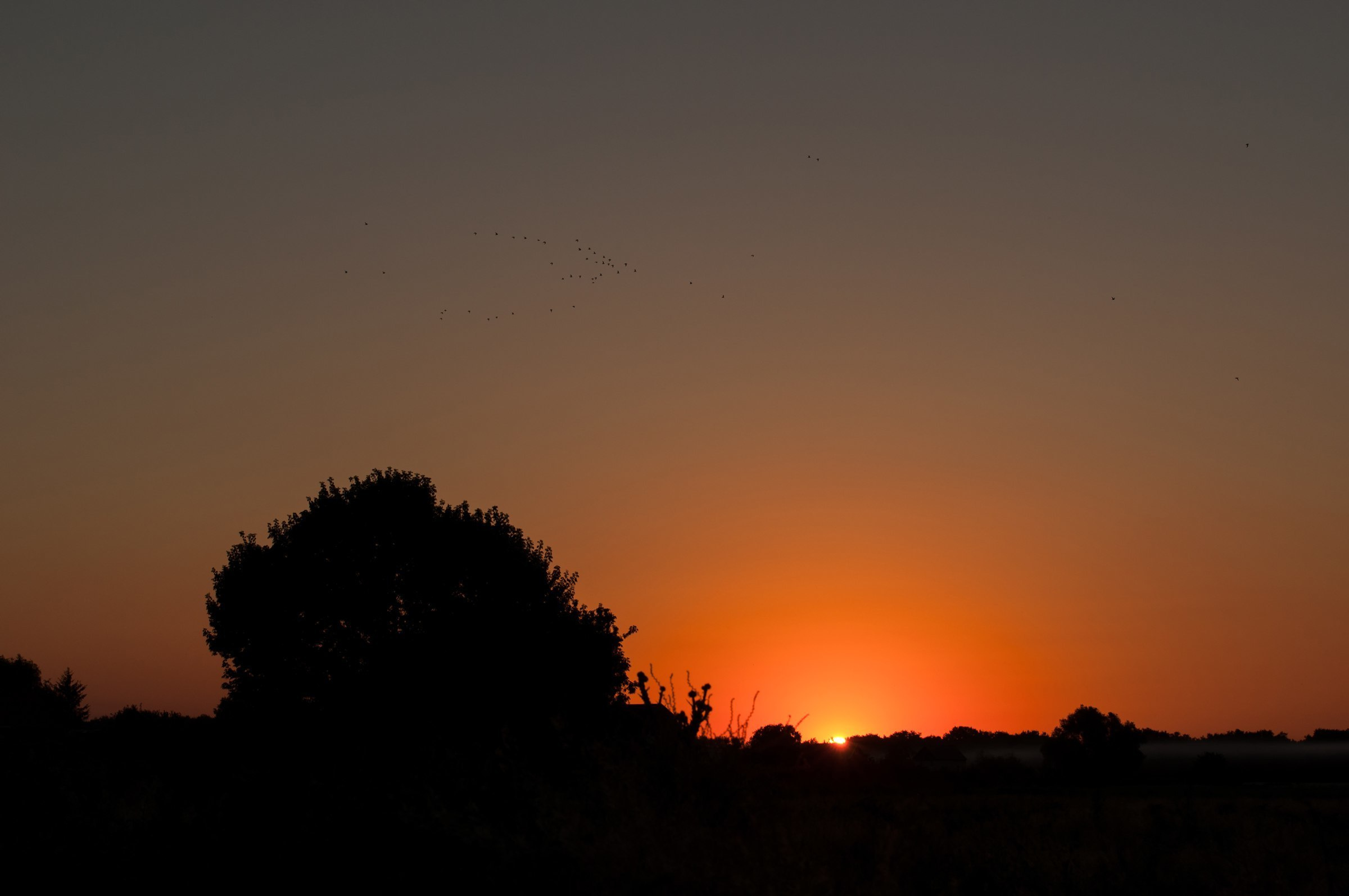 Love story. Свадебный фотограф Волгоград Роман Брызгалин и Натали Никитина