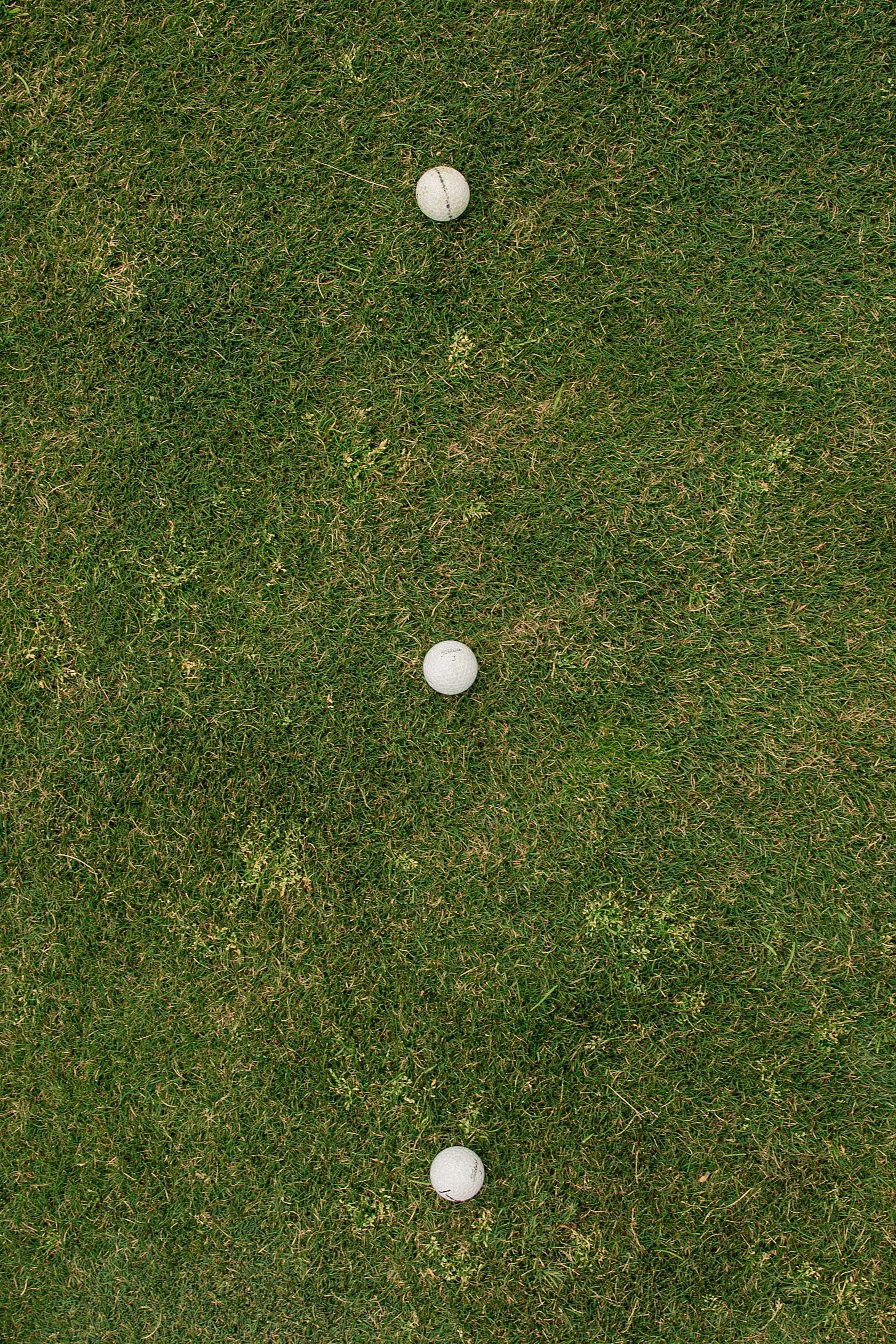 Михаил и Ирина