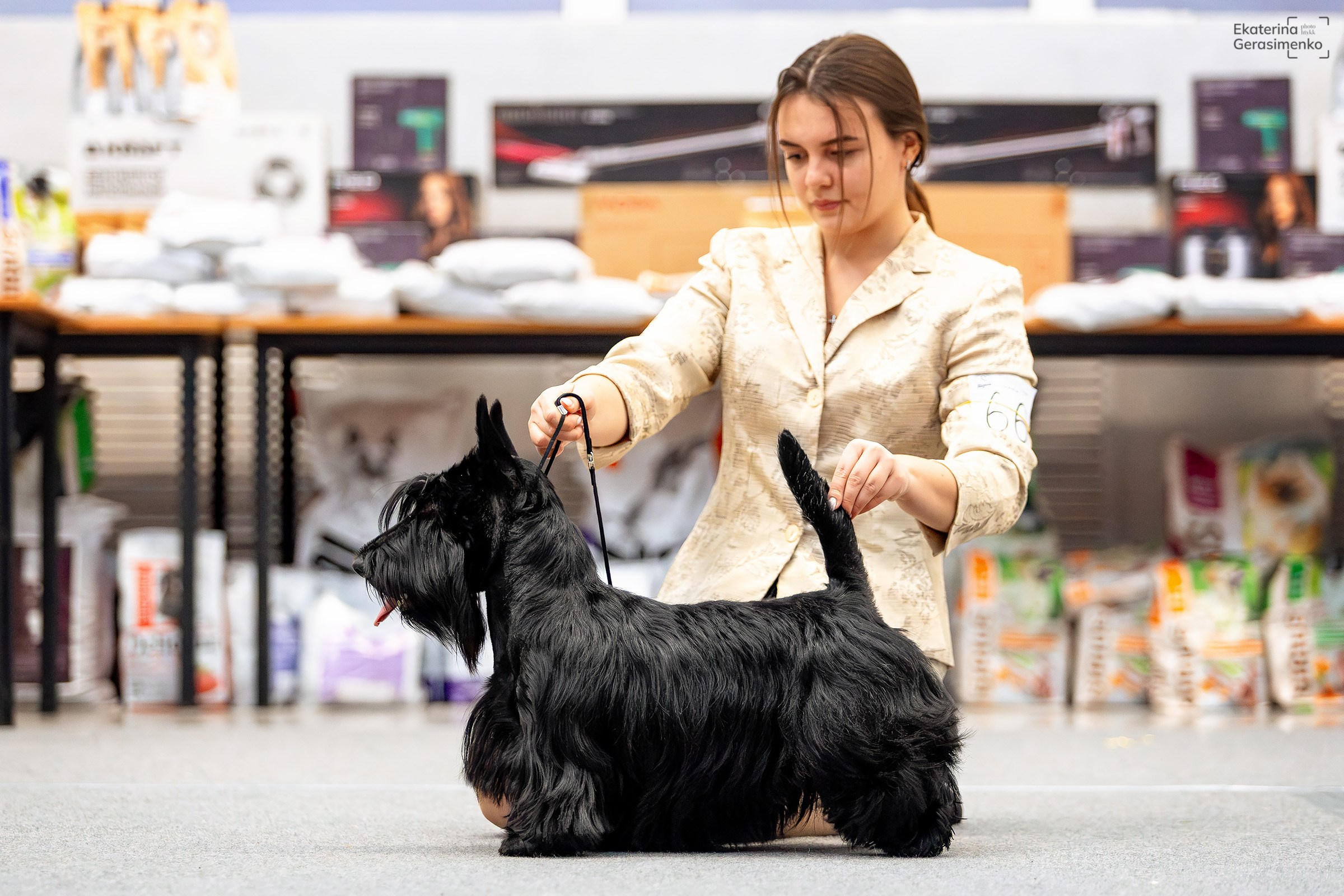 18 января 2025, Выставка РКФ, г. Пермь. Htykk_photo