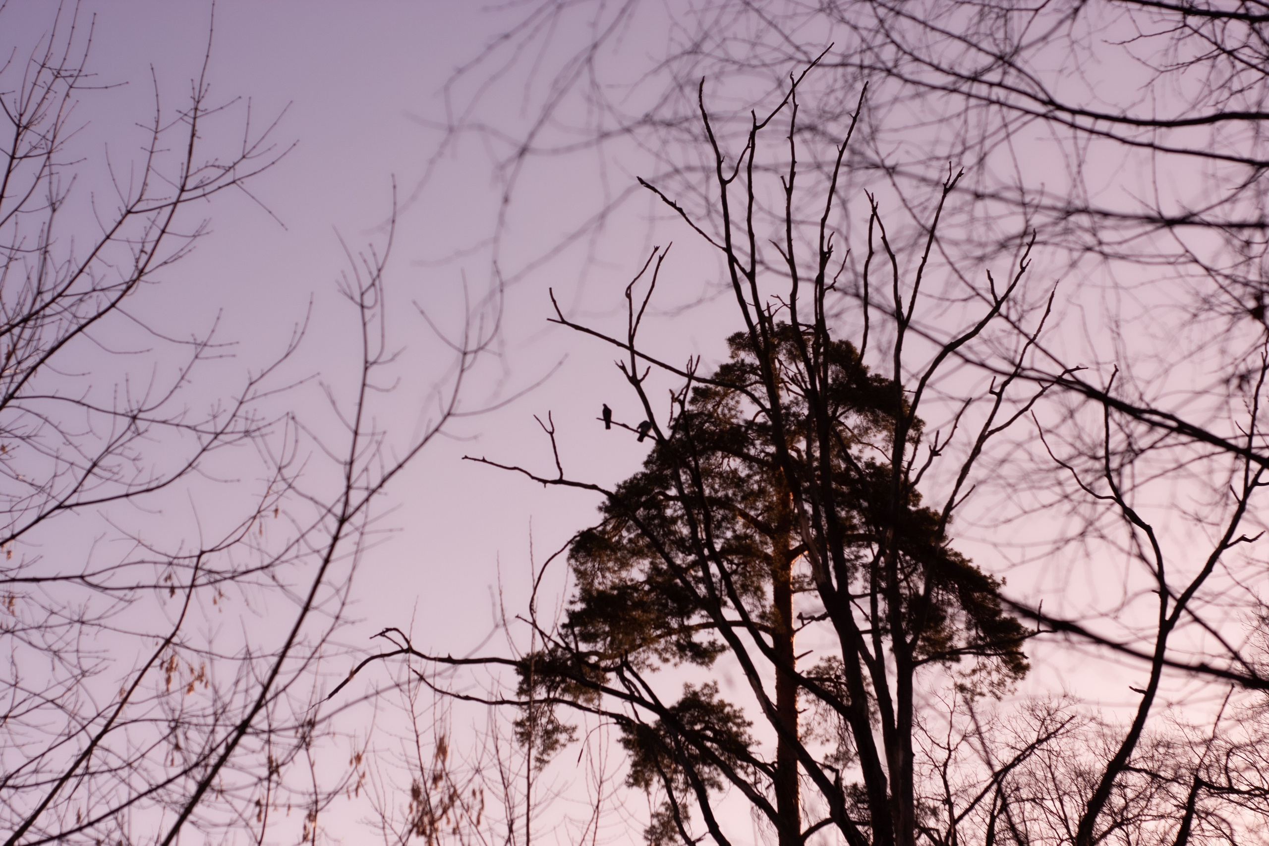 Старое природное, отбирала Katamount (Катерина Горохова). Главная