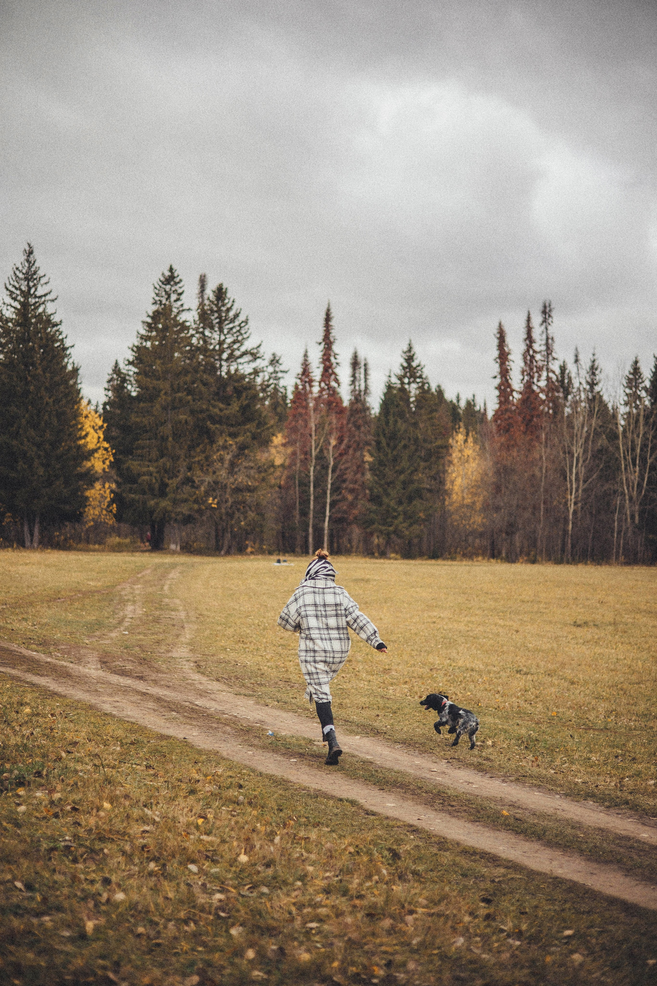 Вика и Ава. Фотограф-анималист Богданова Полина