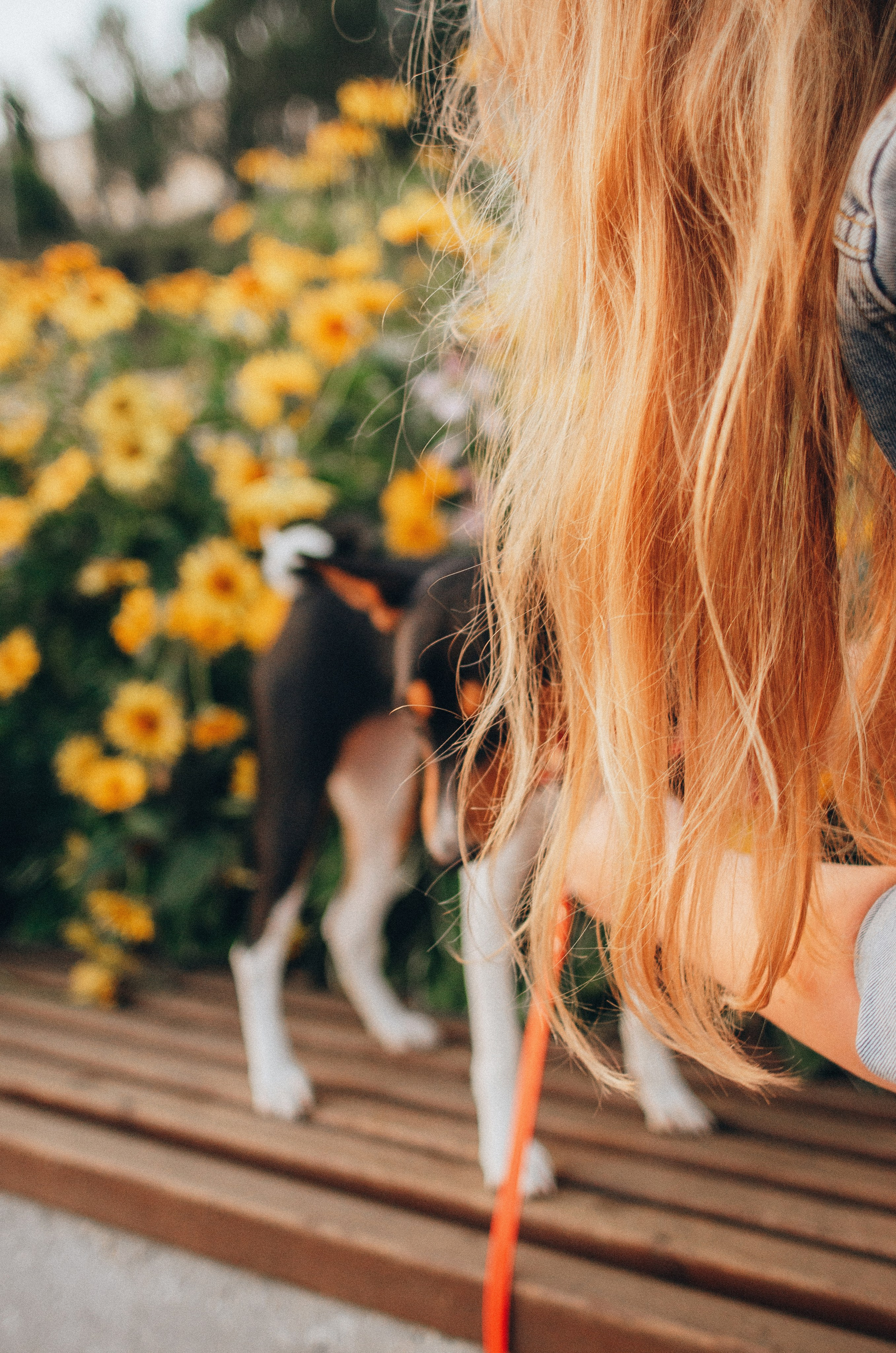 Лена, Никита и Эсма. Фотограф-анималист Богданова Полина