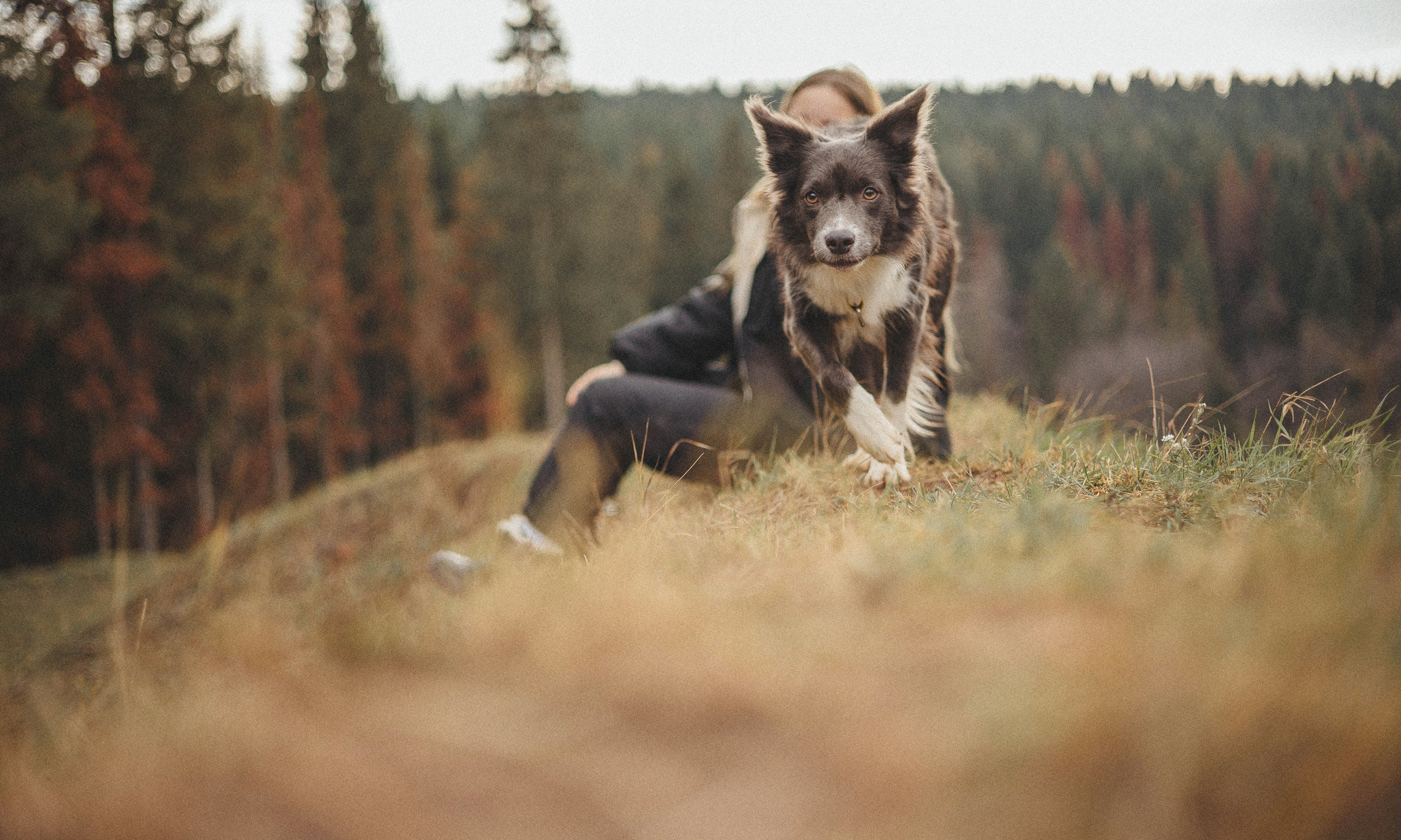 Даша и Дже. Фотограф-анималист Богданова Полина