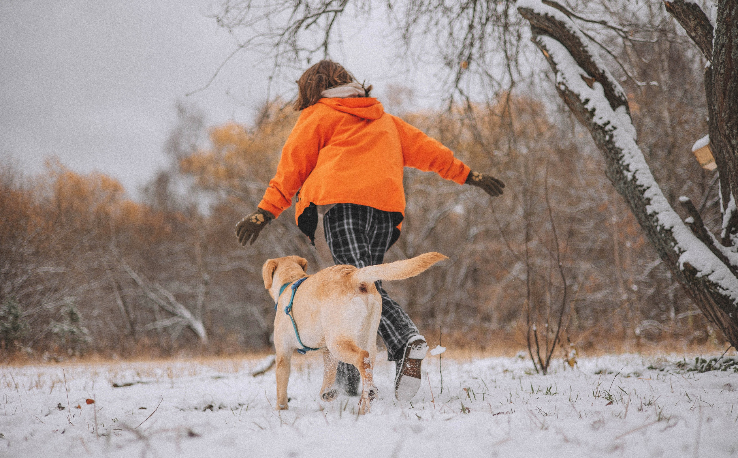 Маргарита и Варди. Фотограф-анималист Богданова Полина