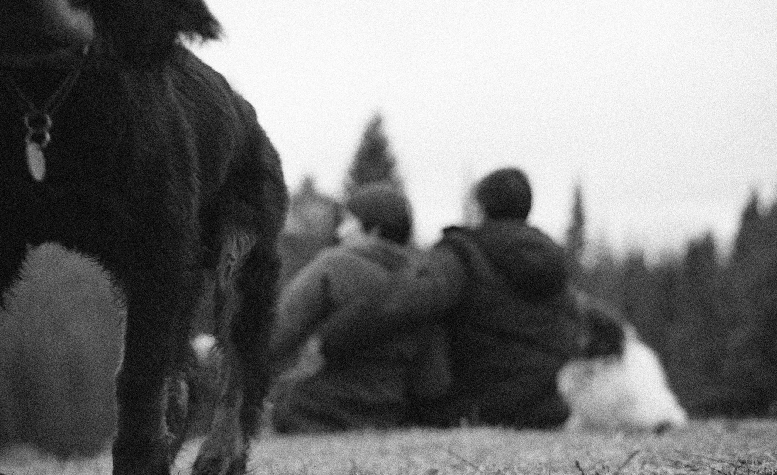 Даша, Глеб, Барс и Бруно. Фотограф-анималист Богданова Полина