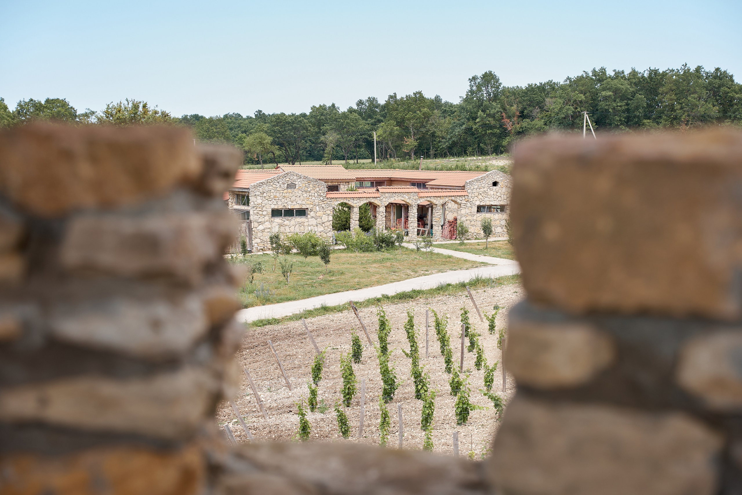 ОДНА ВИНОДЕЛЬНЯ. Репортажный и мужской фотограф в Краснодаре. Фотограф в Краснодаре