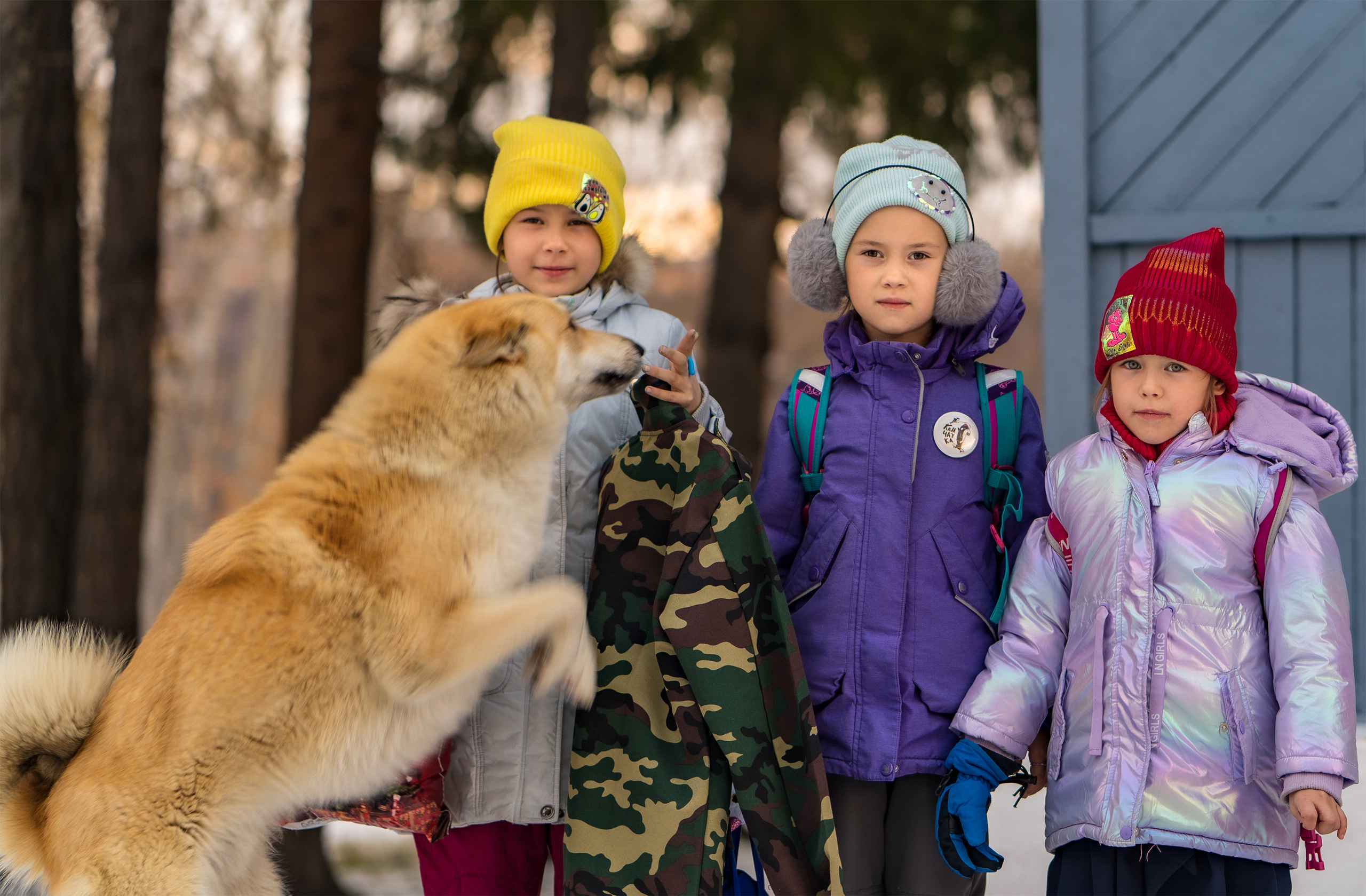 Эссо фото. Фотограф Ворошилов Дмитрий. Эссо. Камчатка
