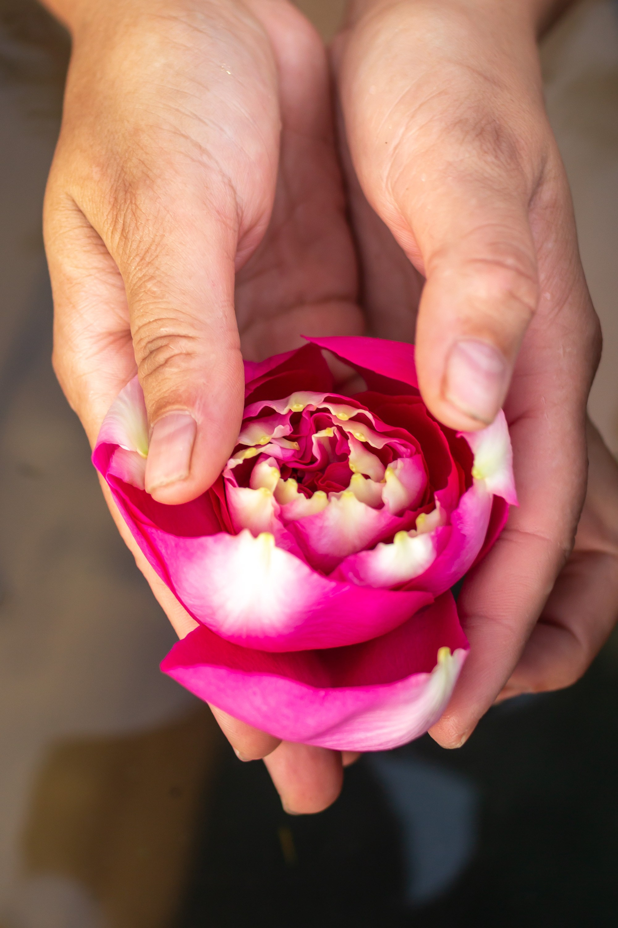 Женские мероприятия. НАСТИН ВЕТЕР — фотографии о тебе Анастасия Карнаухова — фотограф твоей личности