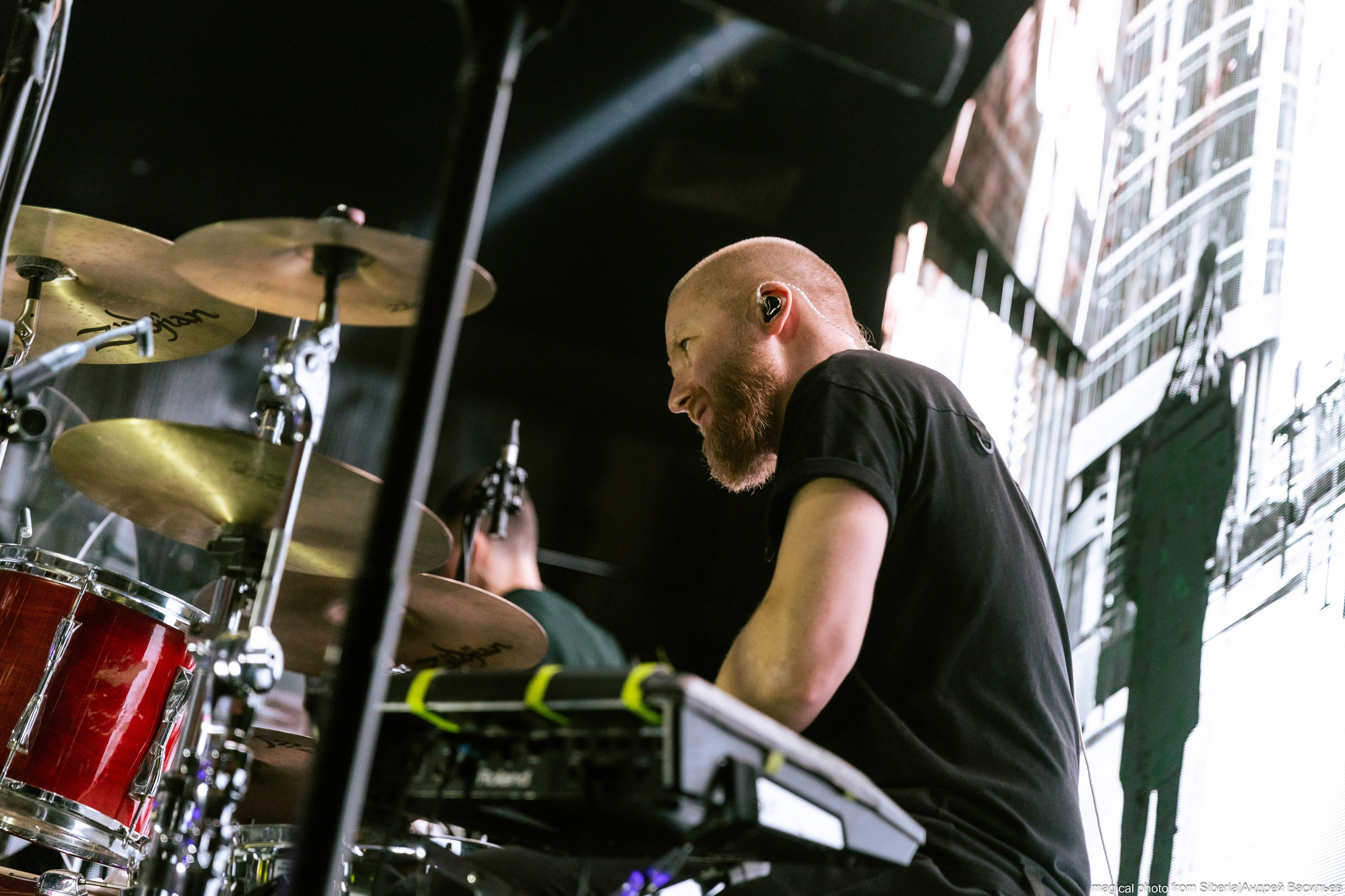 BURITO. _Carpe diem_