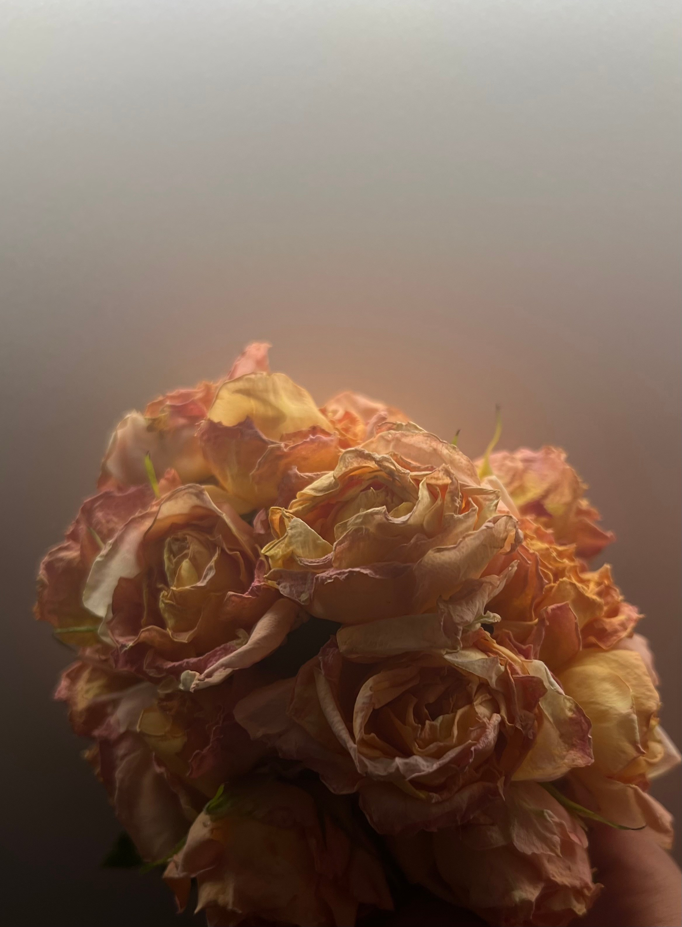 Fragments. Artem Khusainov