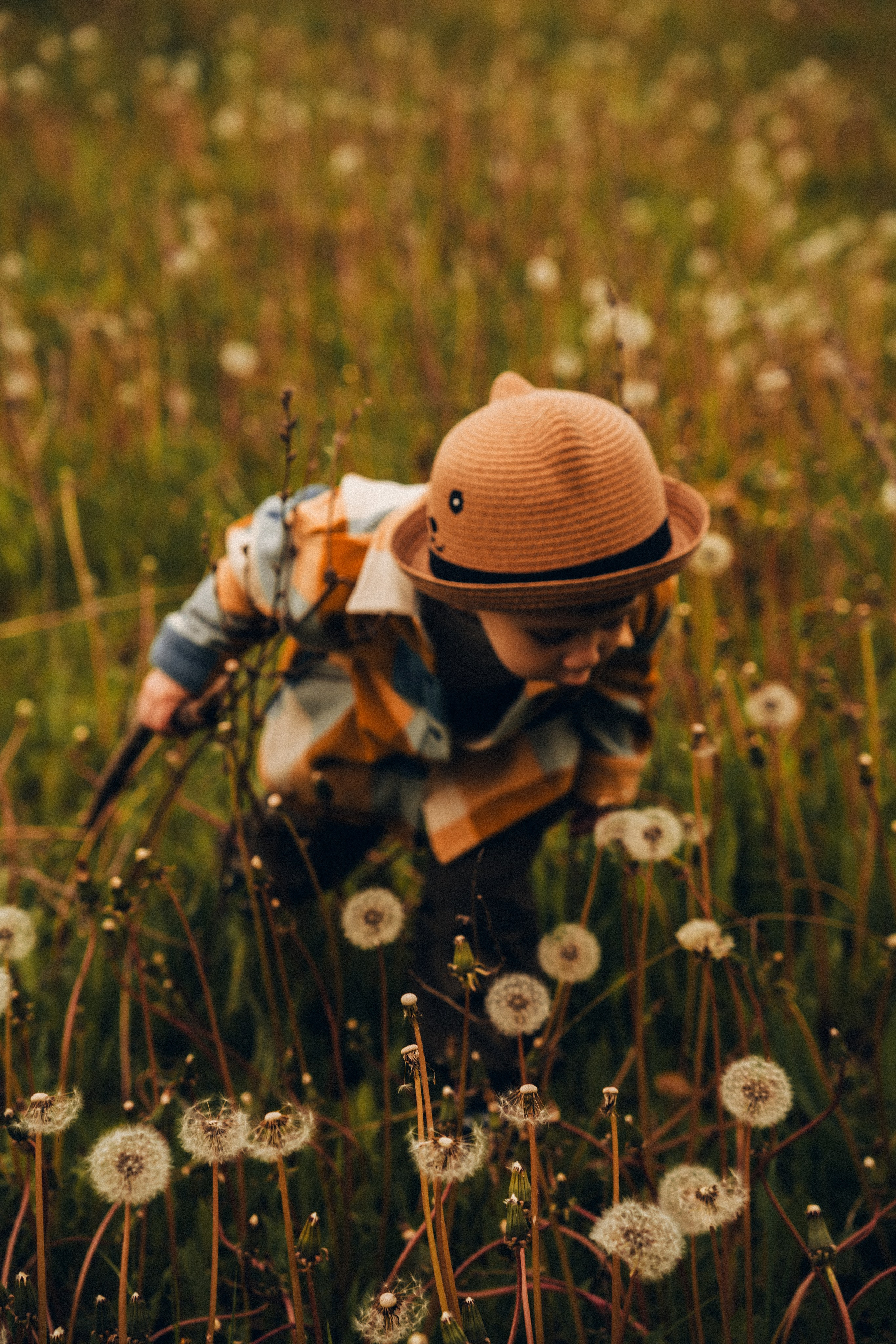 Семейная съемка на закате