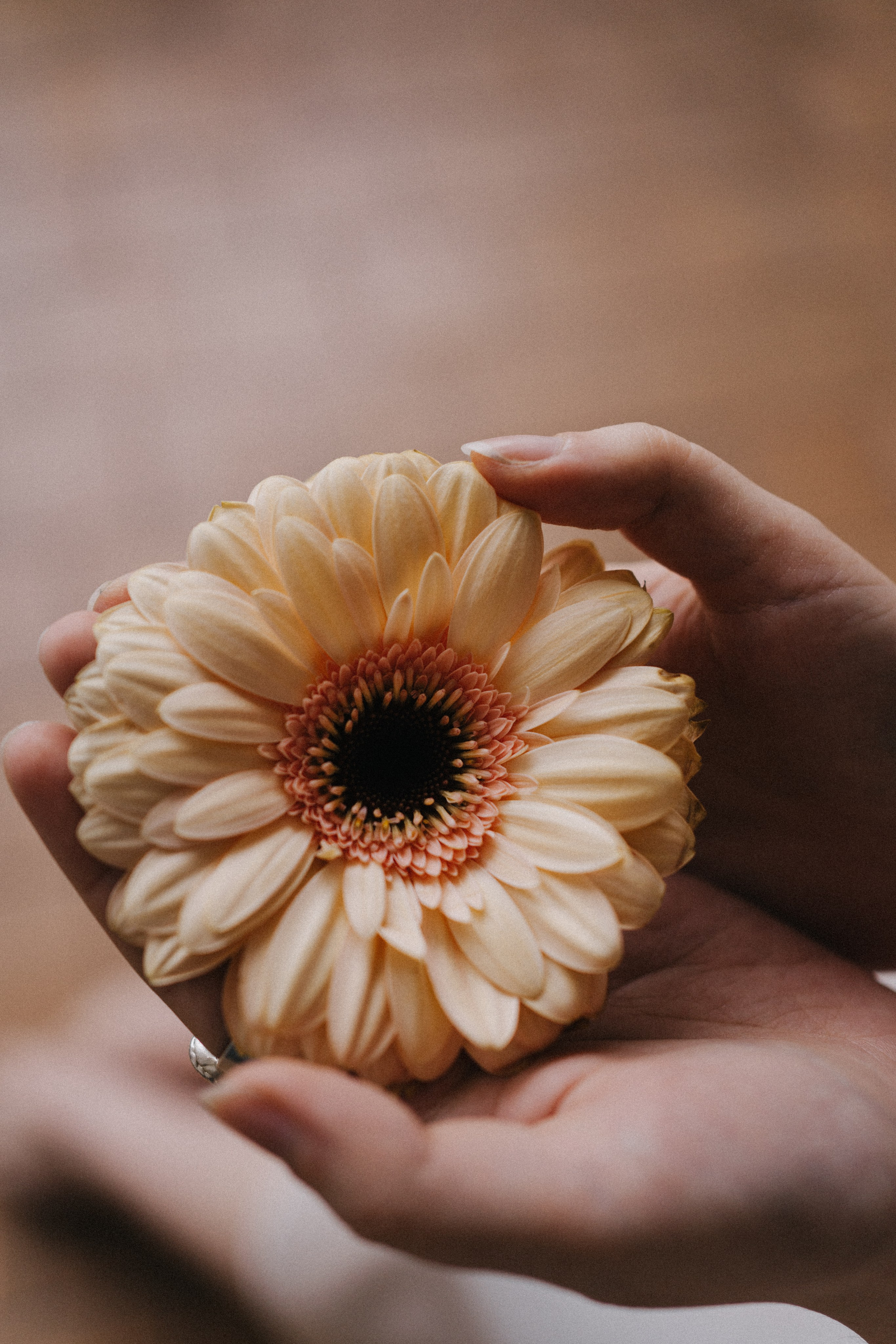 Dasha. Фотограф в Москве Маша Игитова