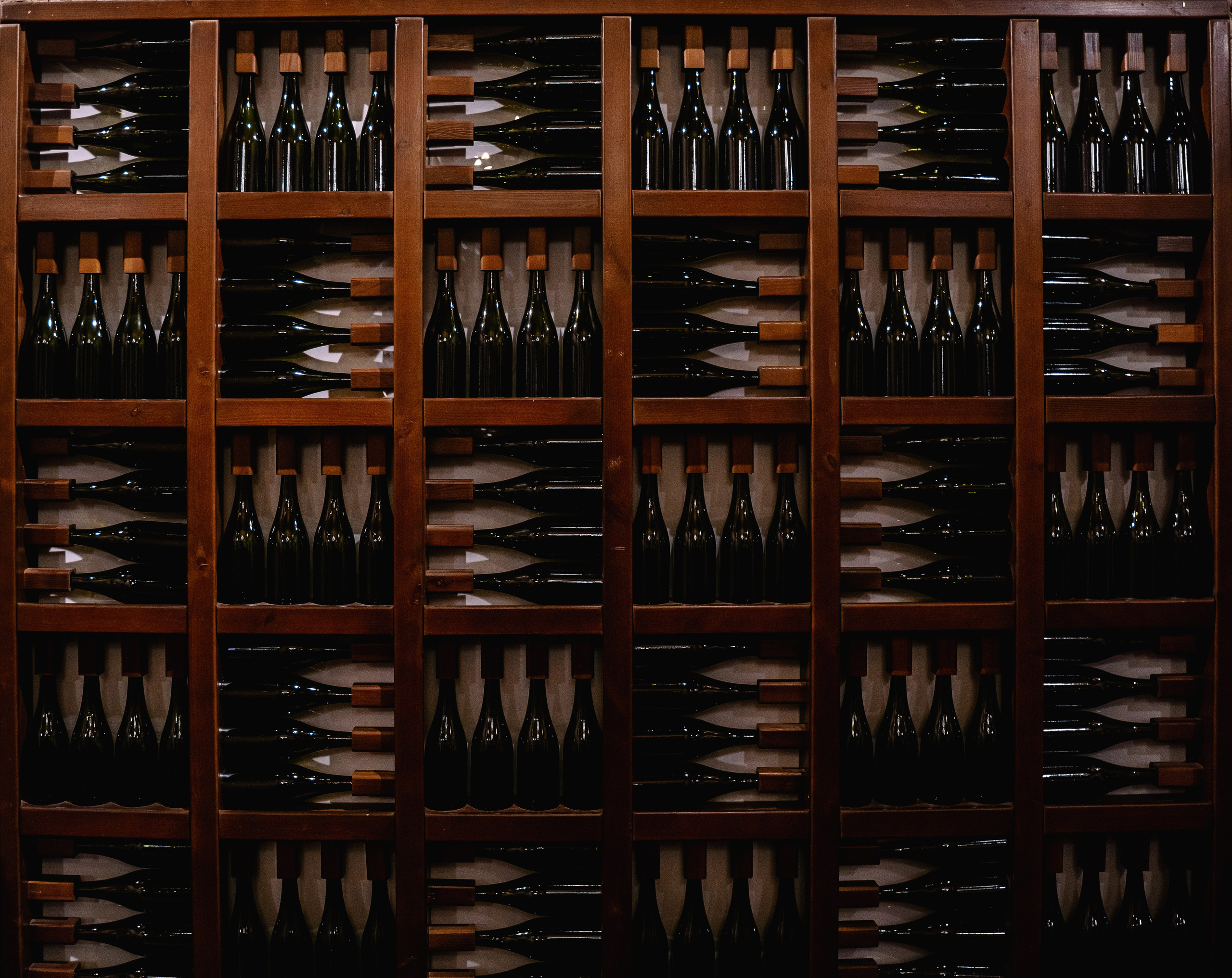 Корпоратив. Свадебный и семейный фотограф в Анапе Елена Полетаева