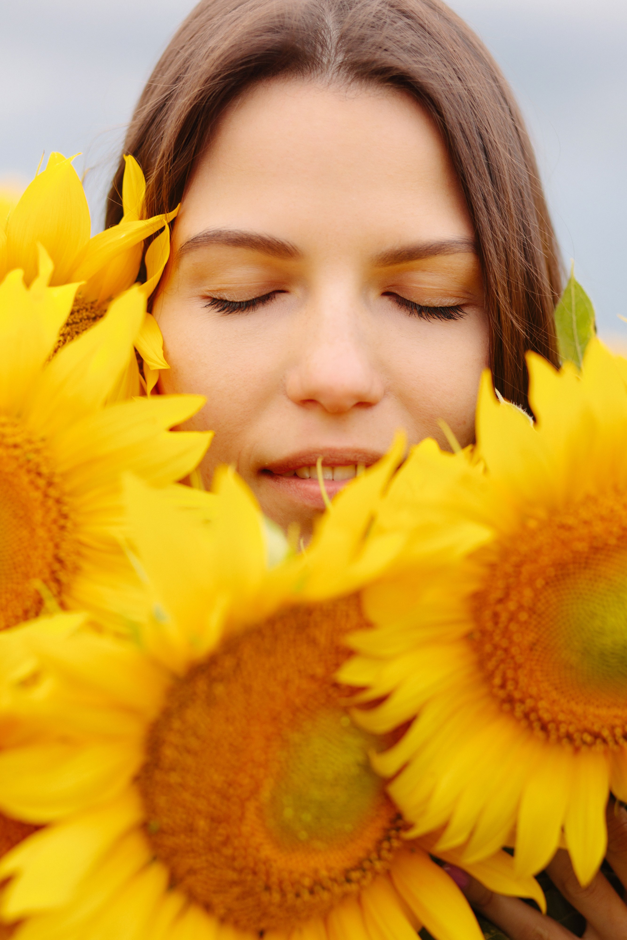 Подсолнухи. Dima Lemeshevsky