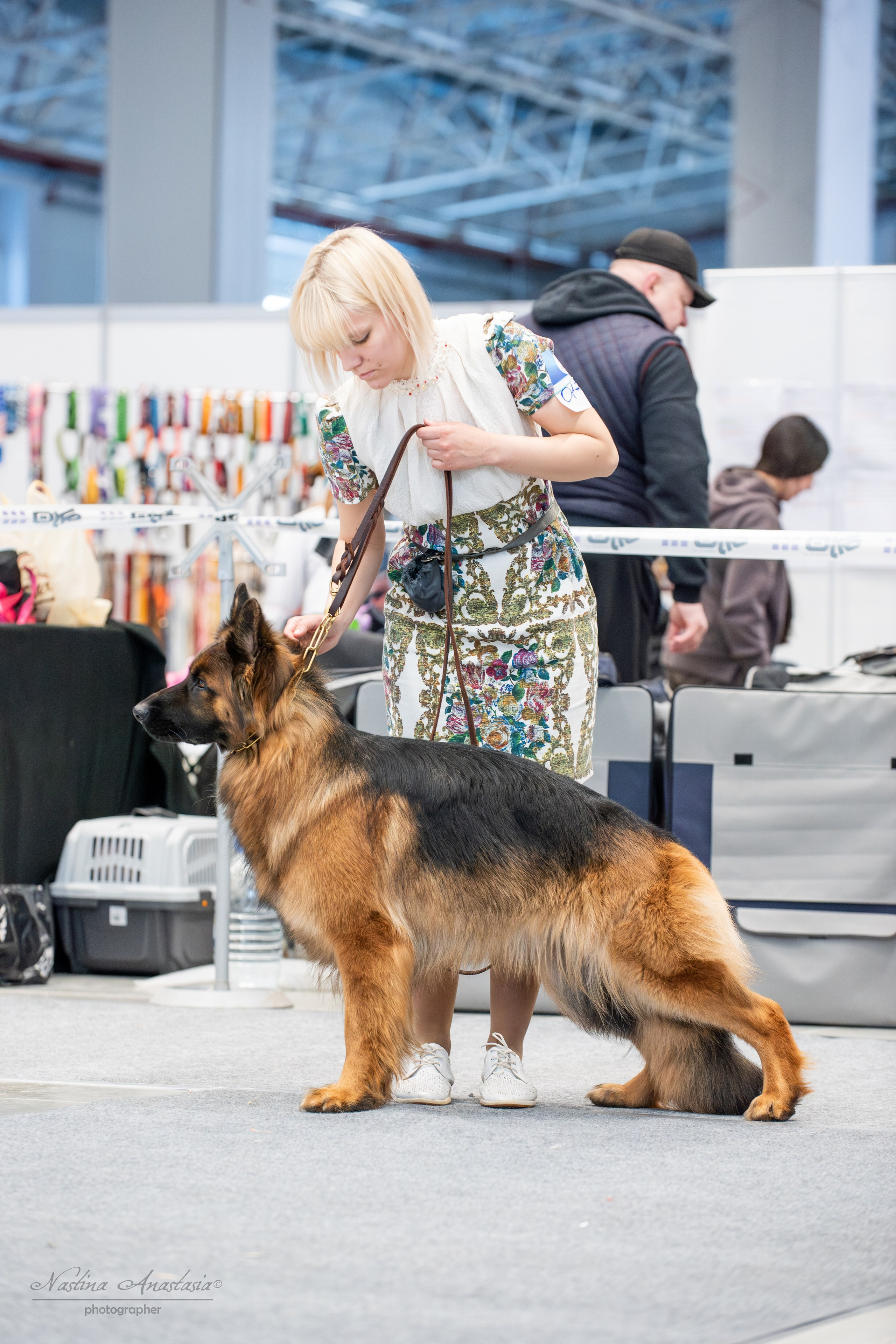 Выставки. Фотограф — Анималист