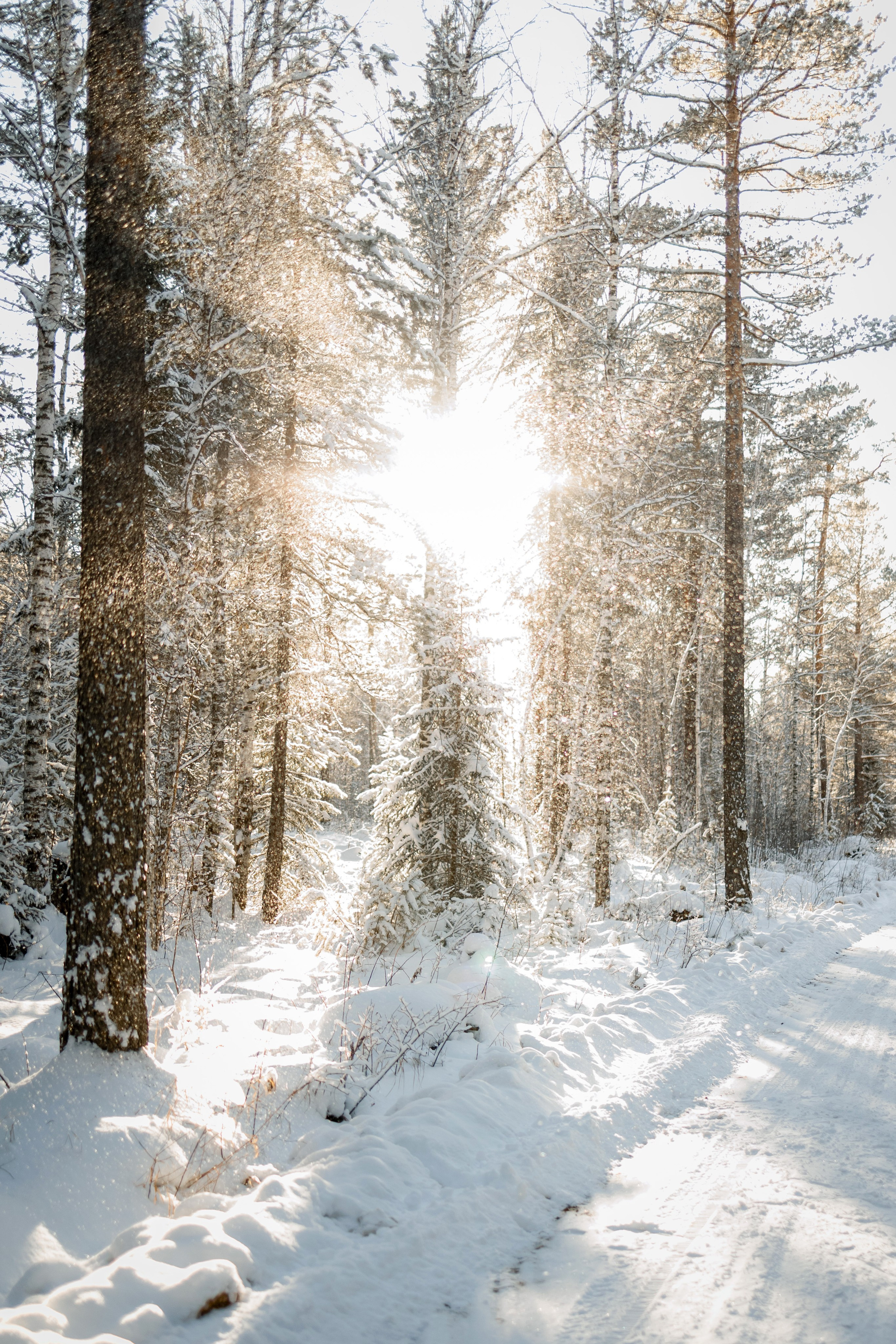 Лера и Никита. Свадебный фотограф в Иркутске Сапаров Александр