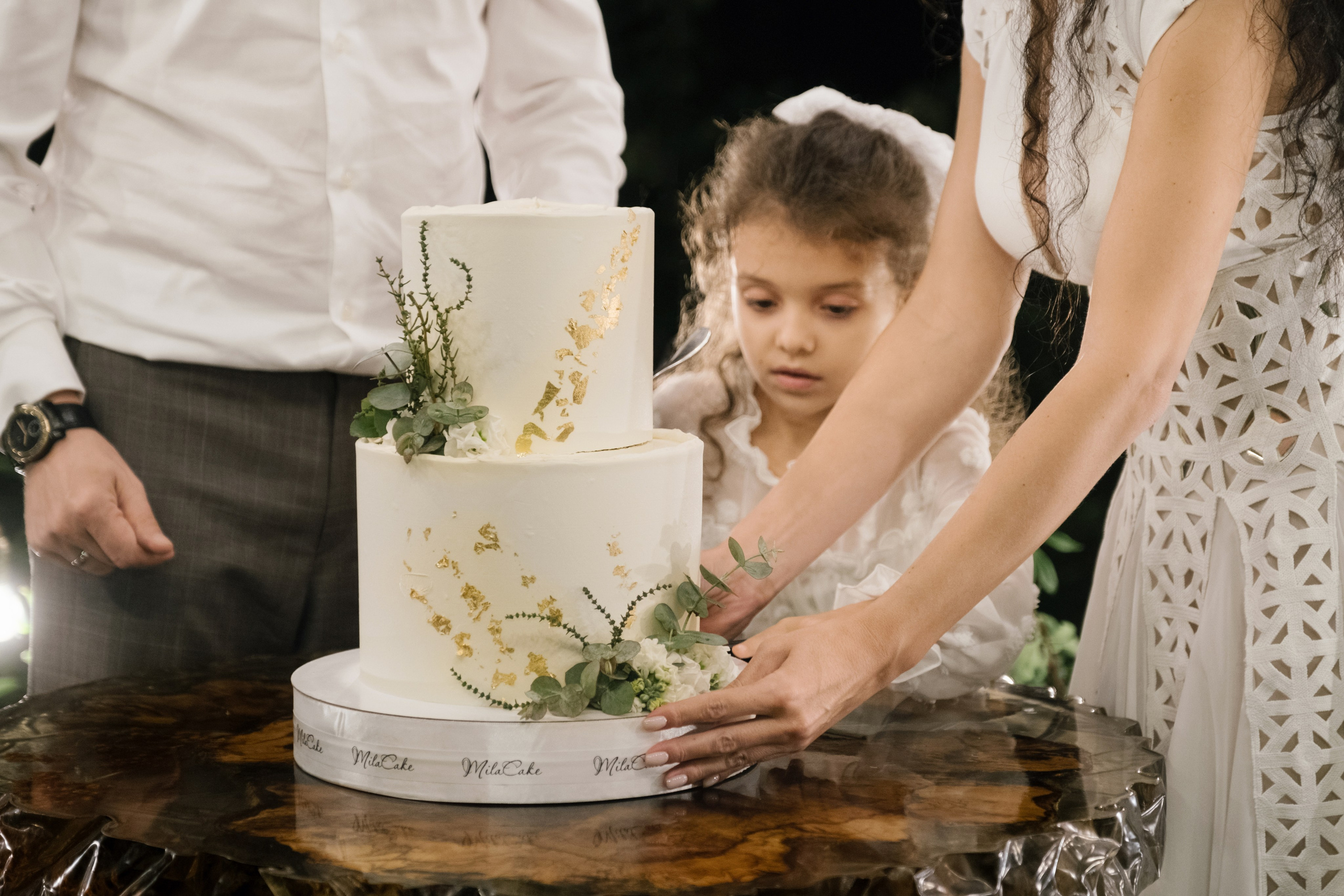 Кот и Дракон. Свадебный Видеограф Фотограф в Сочи