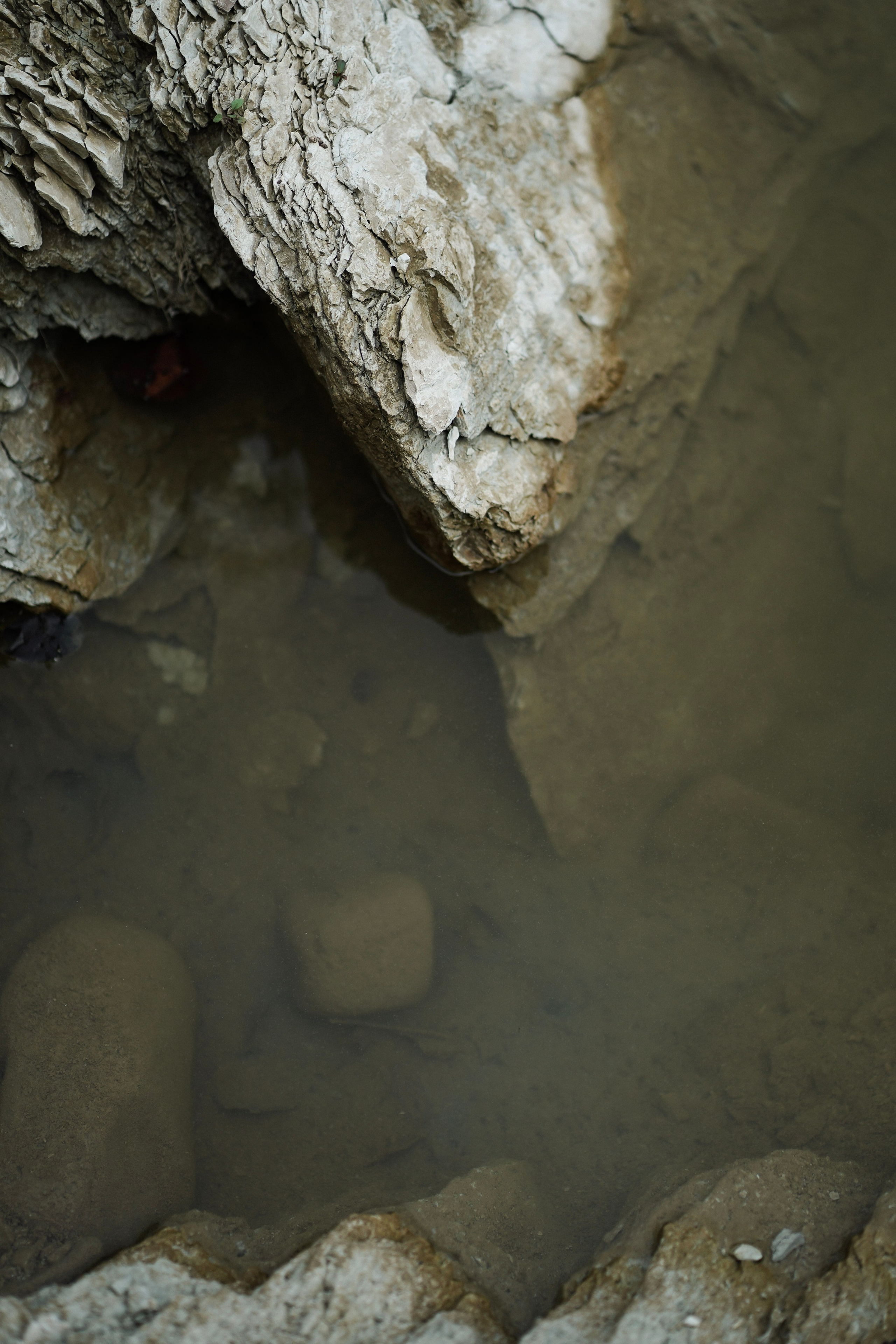 Инна в лесу. Фотограф с психологическим образованием