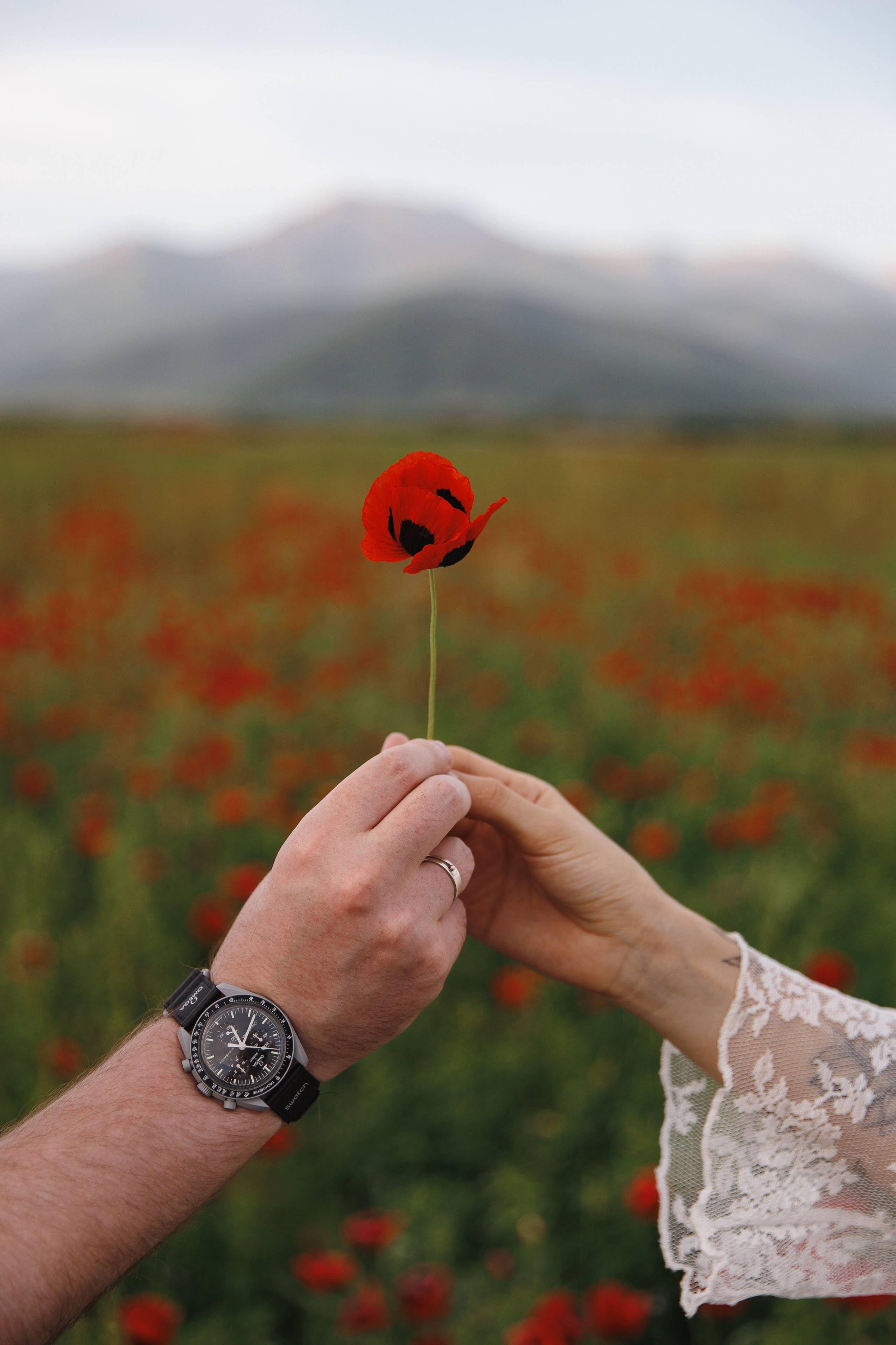 Miroslava&Ilia in Kaheti. Wedding photographer in St. Petersburg, Europe and Israel Anna Agafon