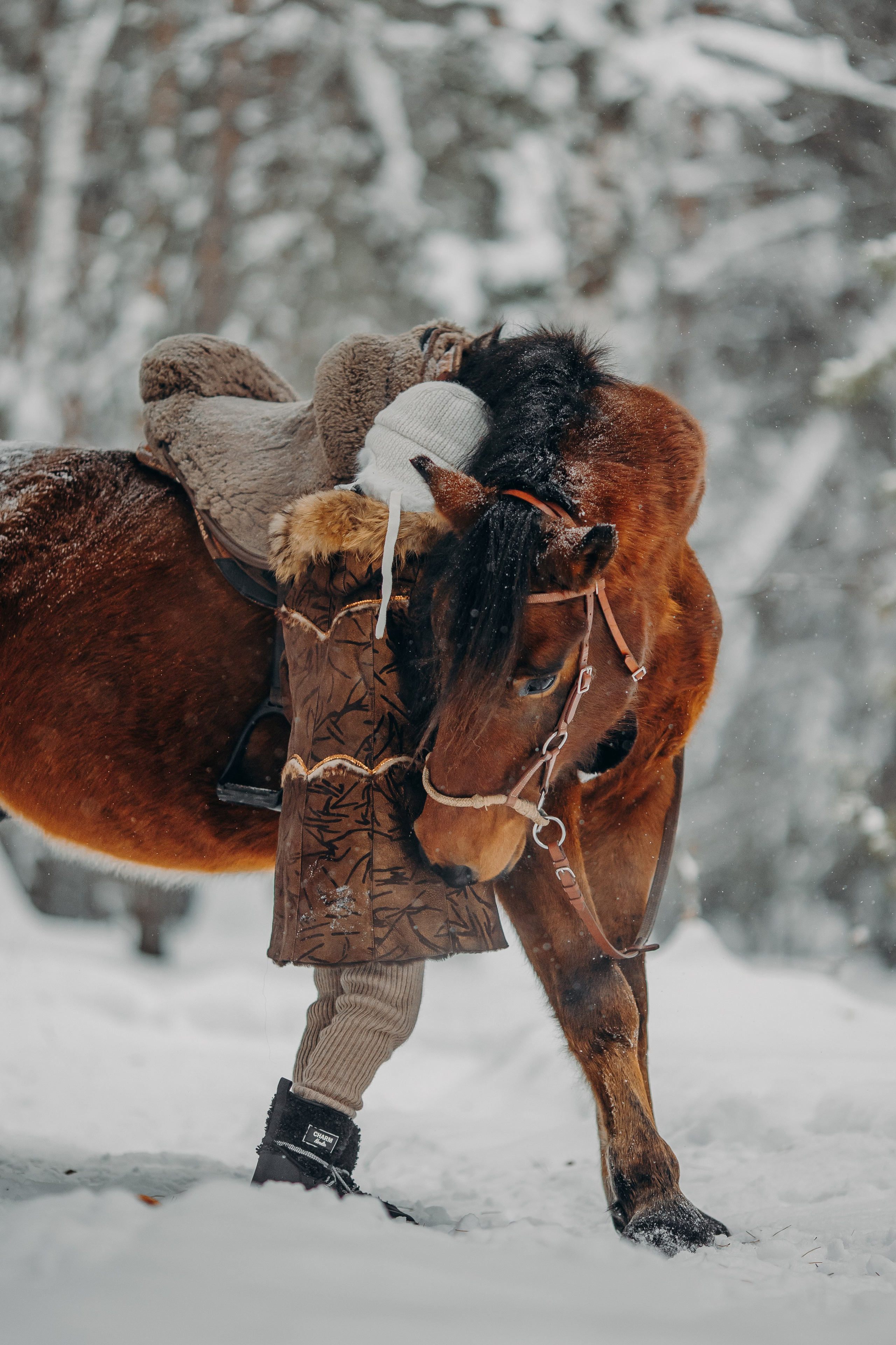 Тоша и баранки. Анна Молчанова конный фотограф в Тюмени | фотосессии с лошадьми Тюмень