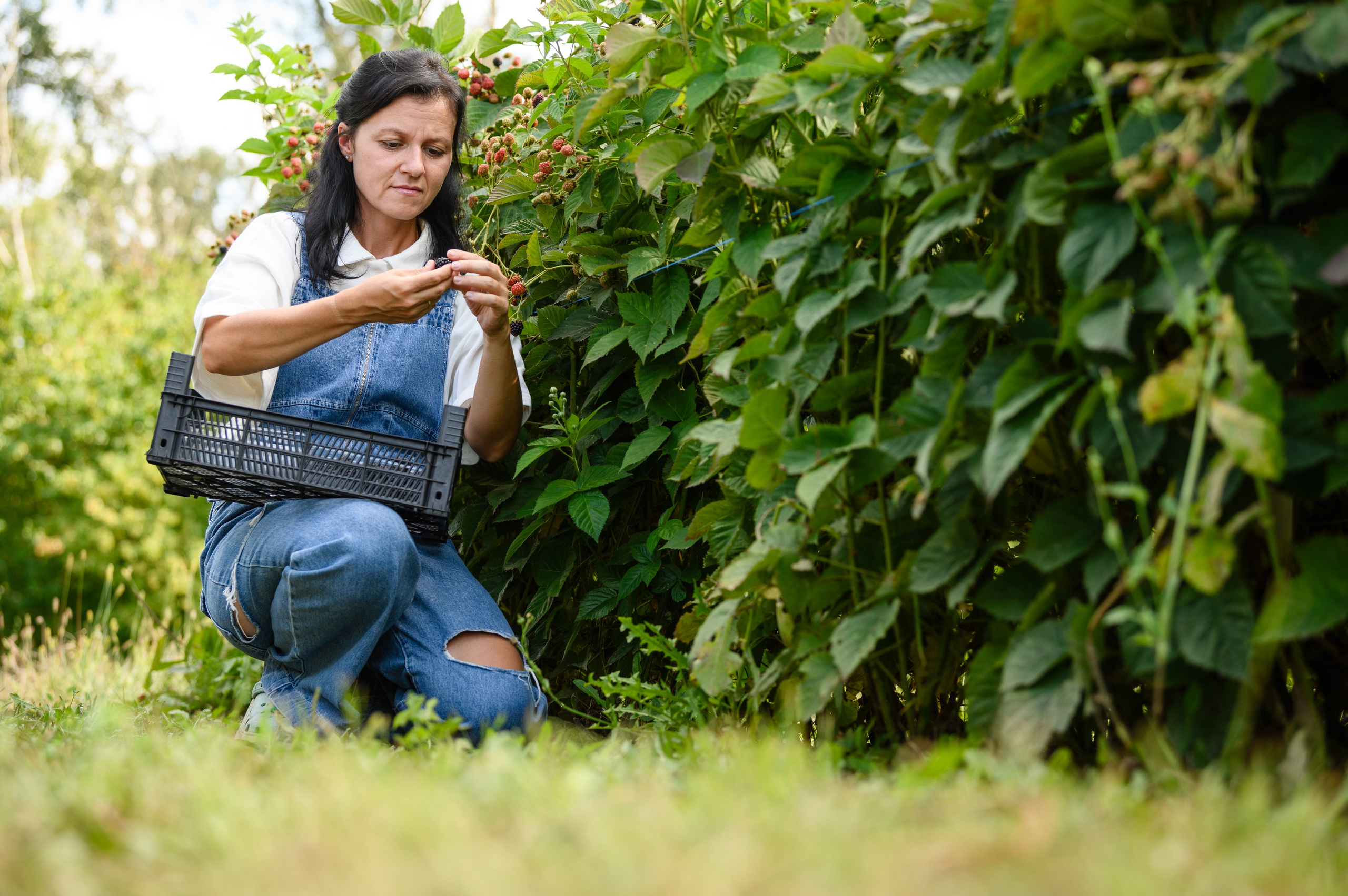 Проекты. Профессиональный фотограф Вячеслав Плацында | Липецк |