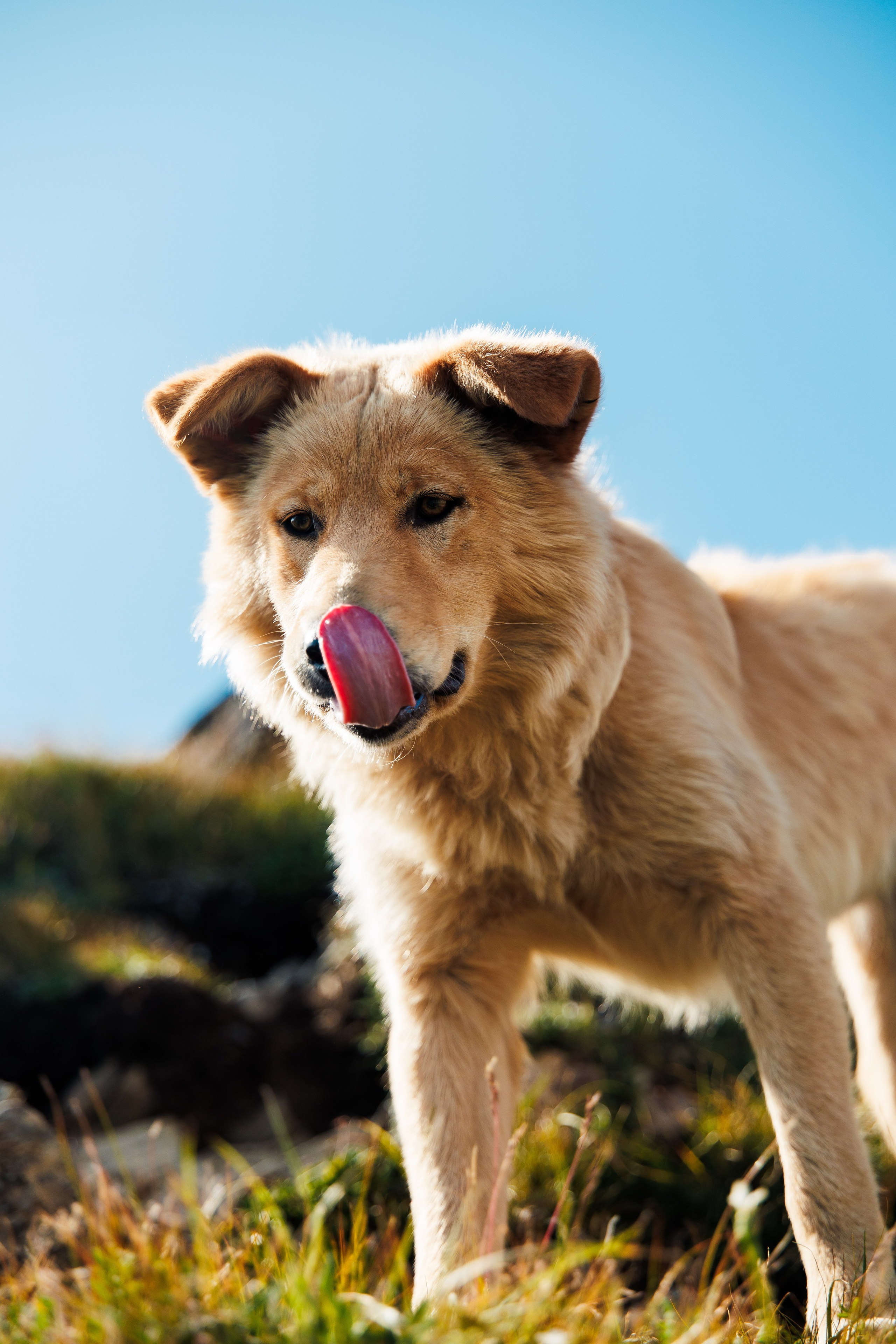 Летний Байкал