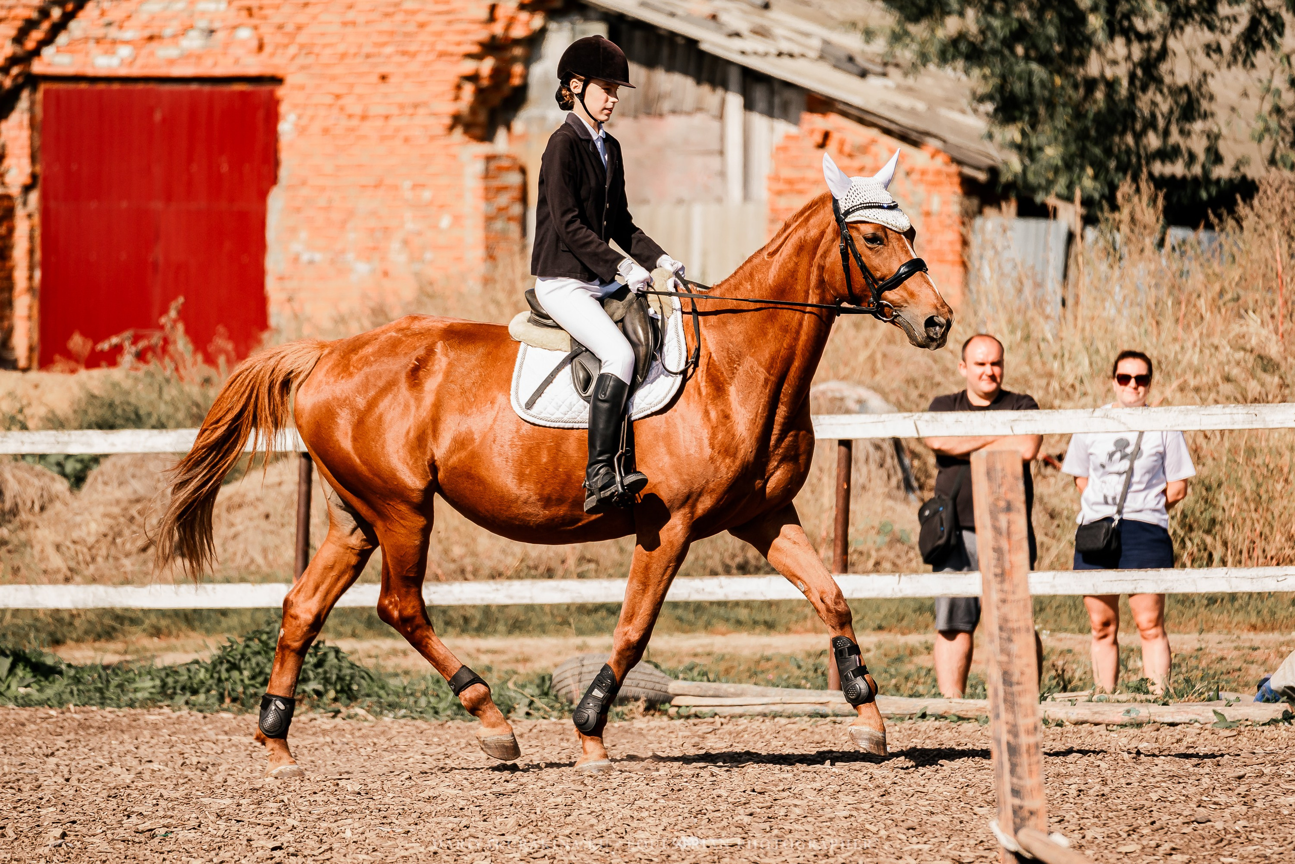 Соревнования по конкуру в КБ «КАЗАЧИЙ ДОЗОР». Конный фотограф Куракина Дарья • Фотосессии с лошадьми
