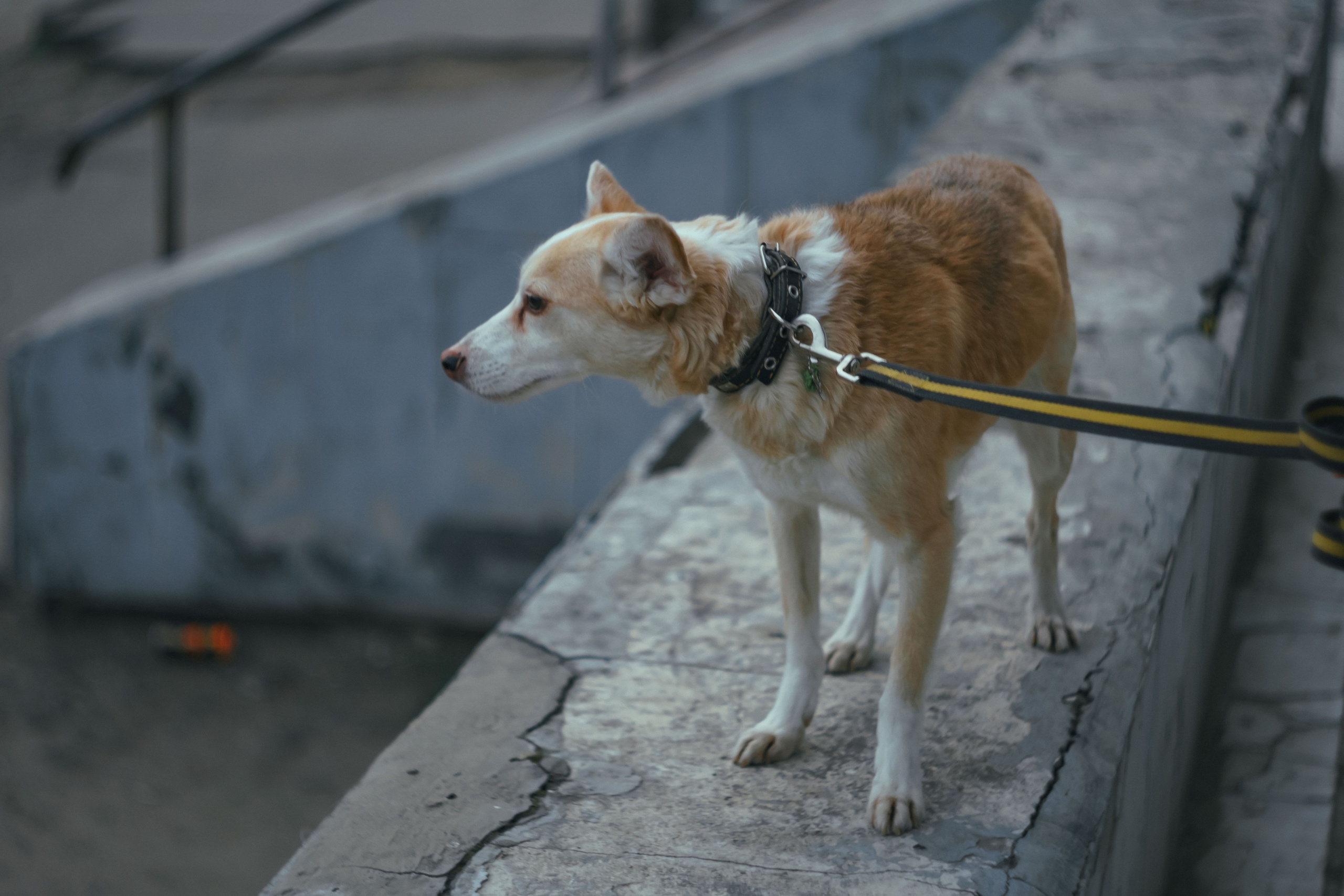 Соня. Фотограф в Кстово и Нижнем Новгороде KOLOSOK