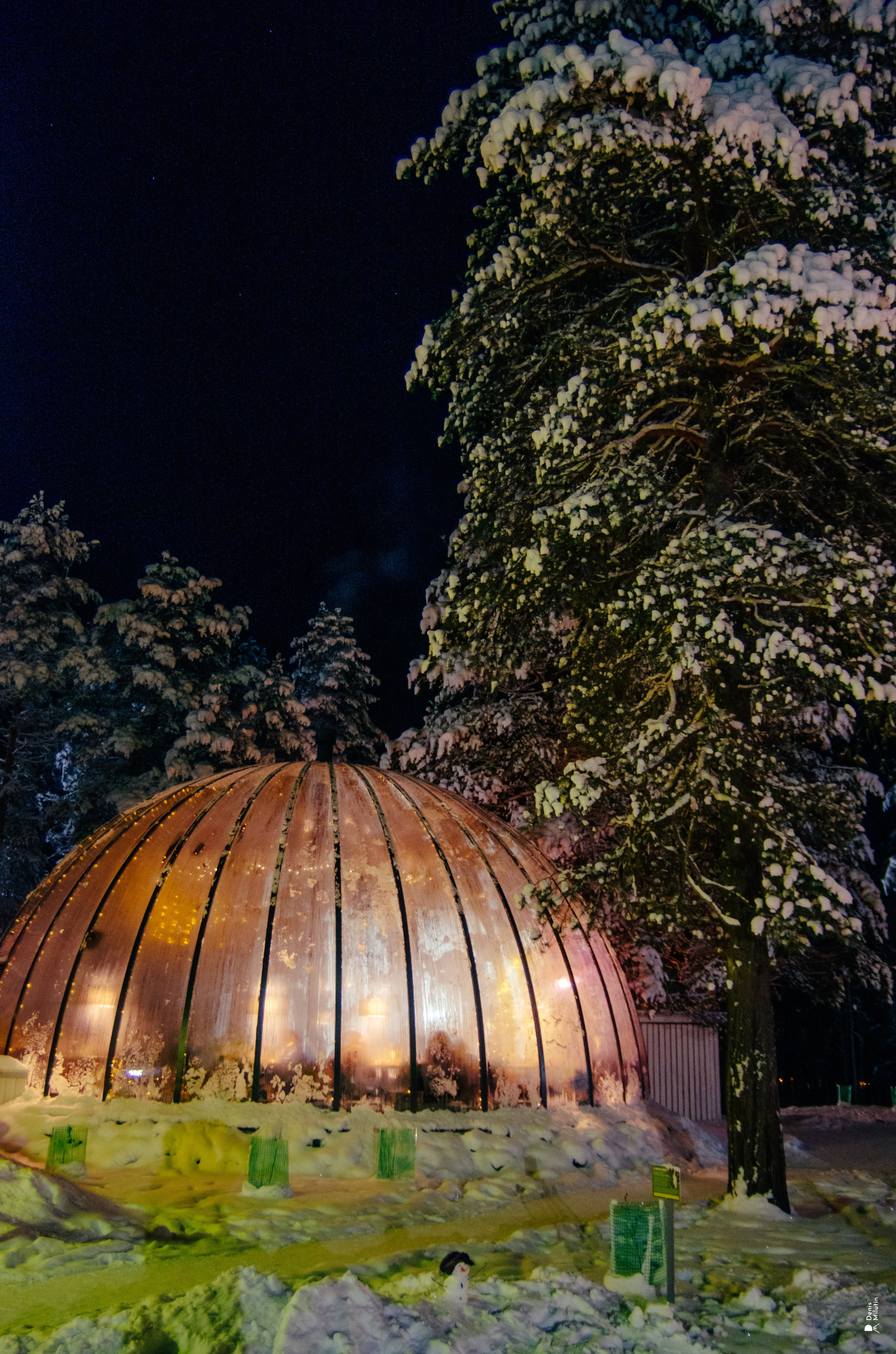 Парк Отель Хвоя. Портретный фотограф Денис Милютин