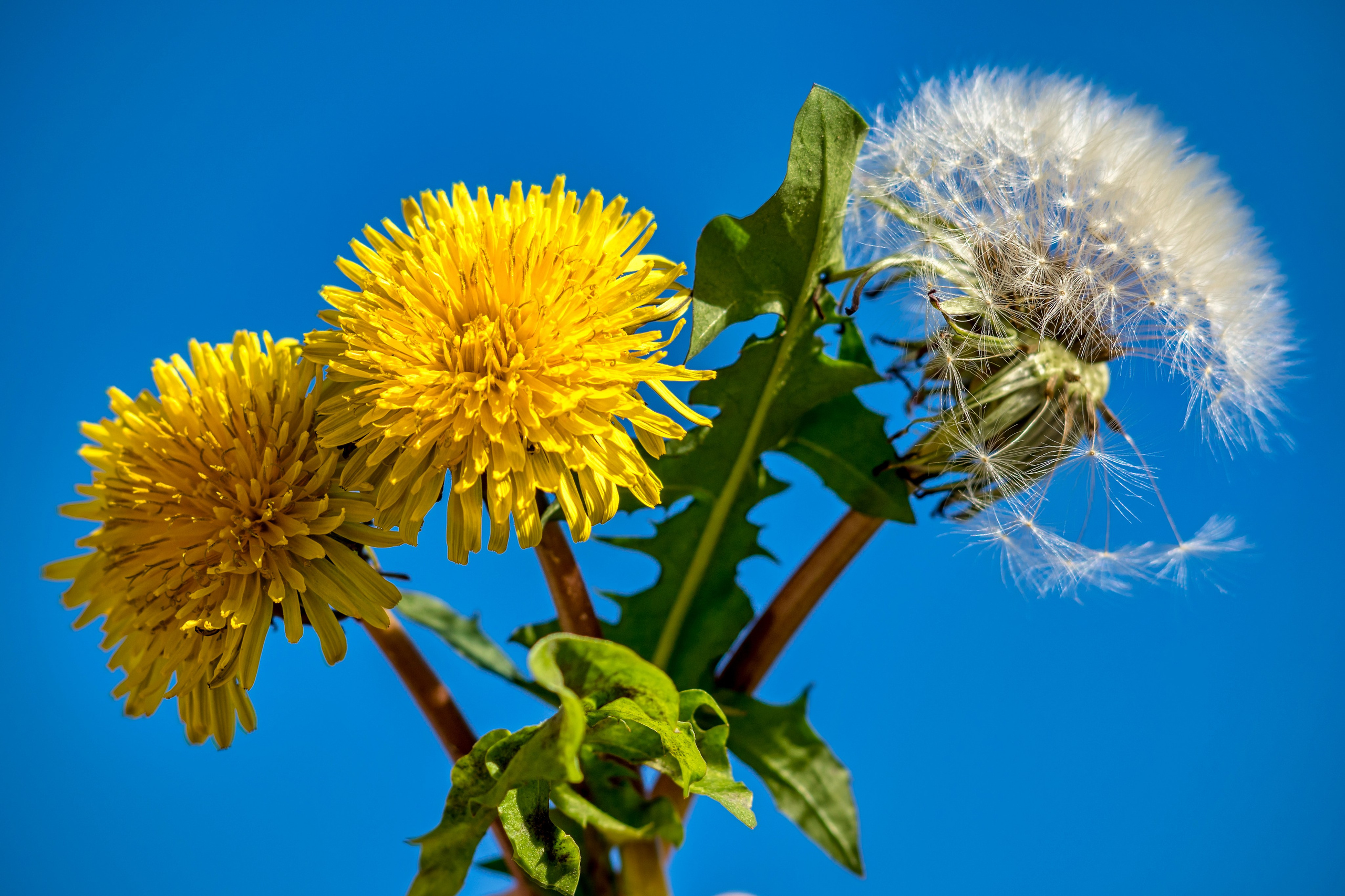 Наша мать — природа. Фотограф Владимир Артамонов