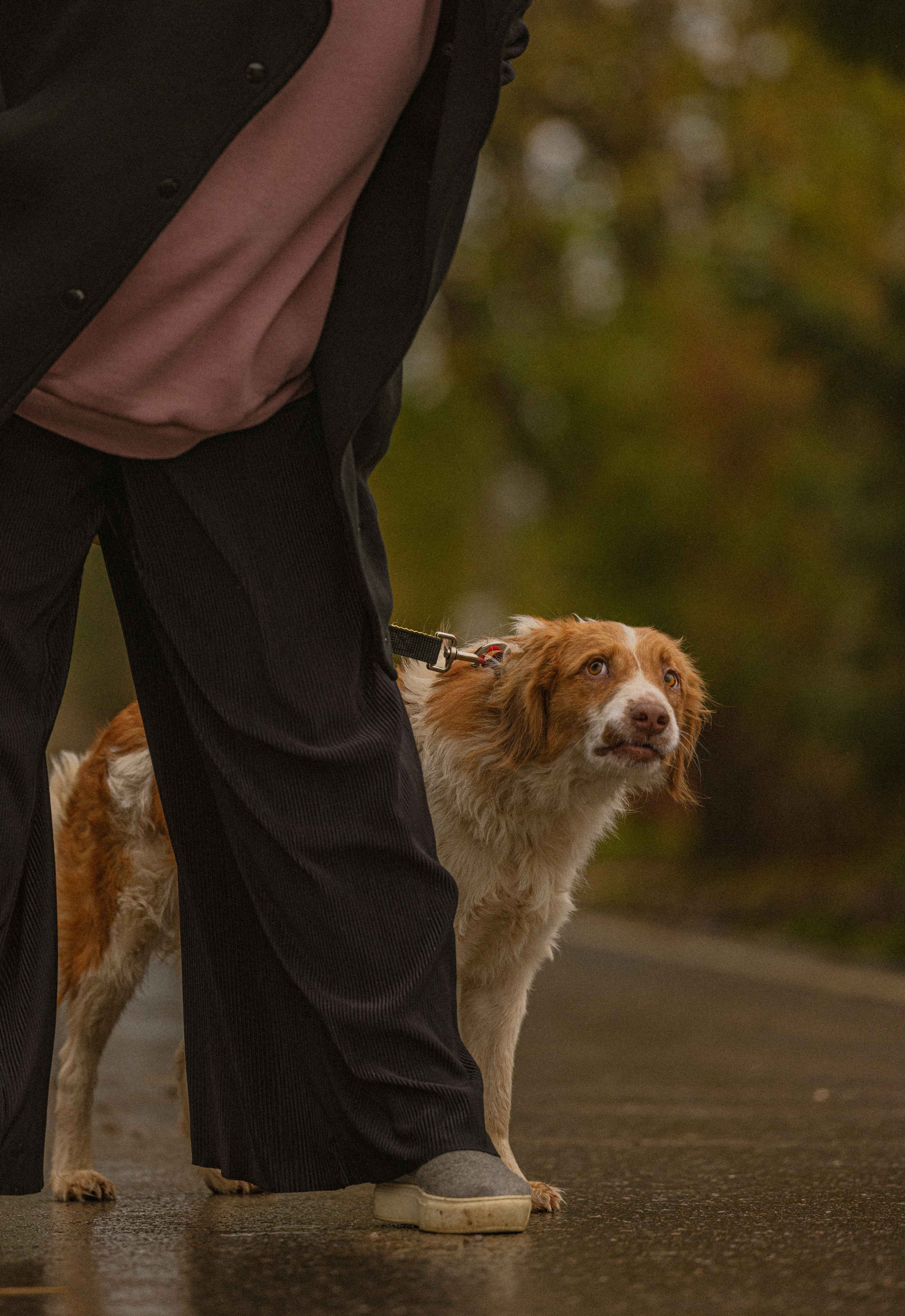 Передержка. Фотограф-анималист в Москве Лера Черноног